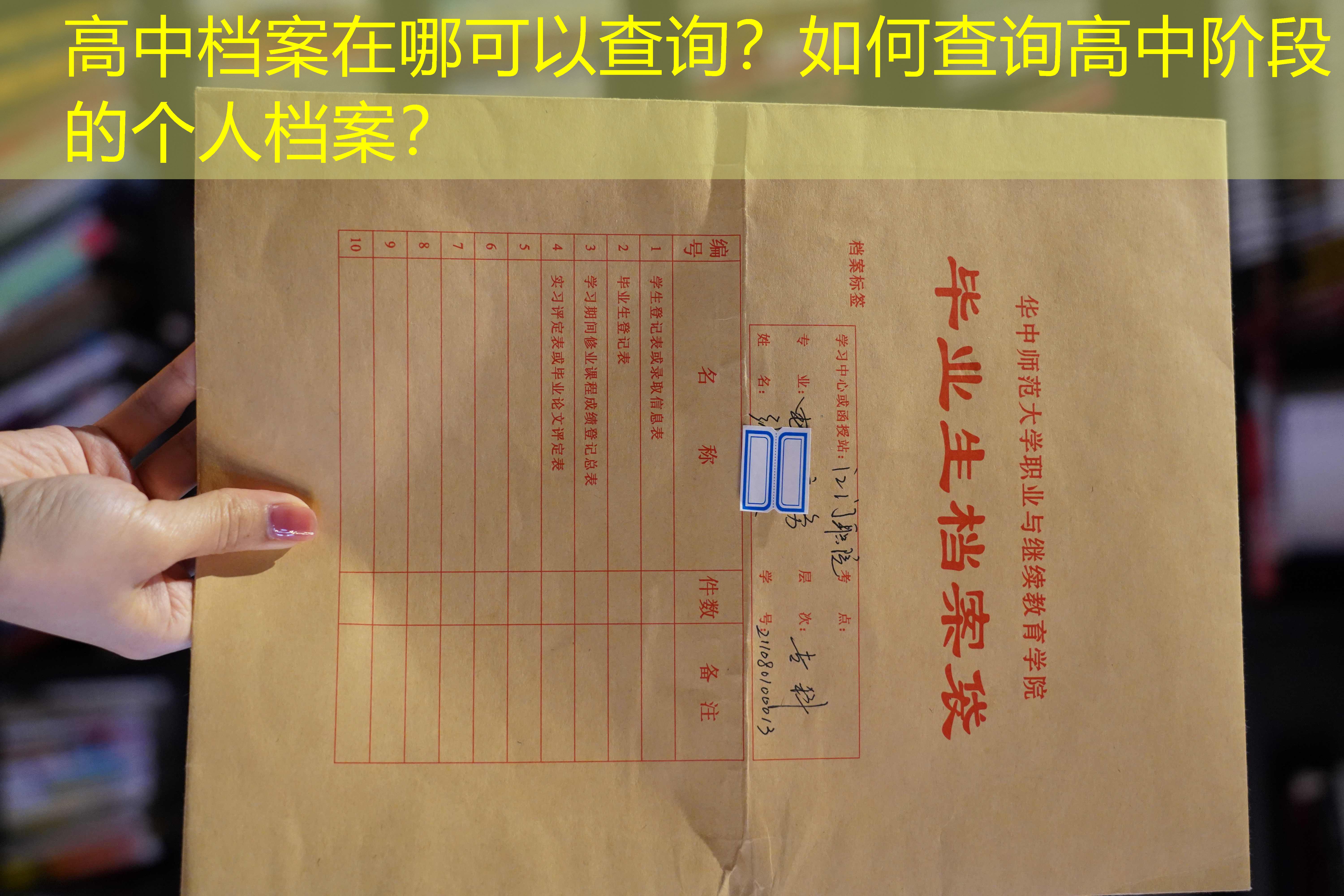 档案查询