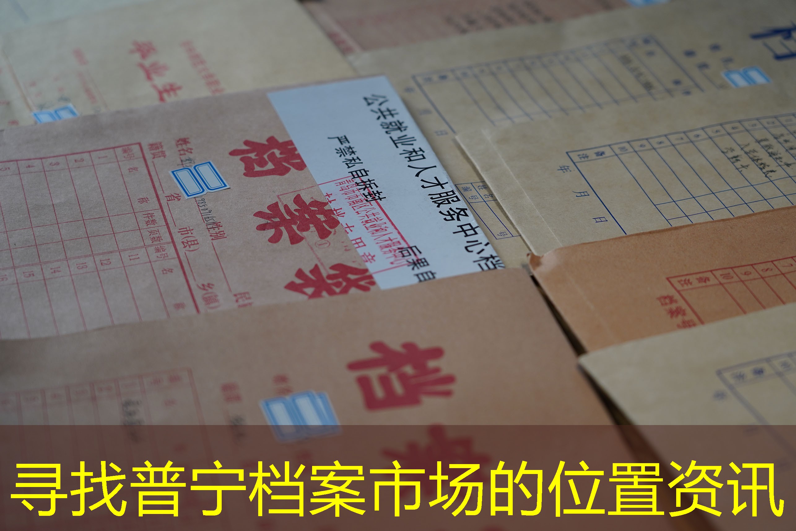 档案查询
