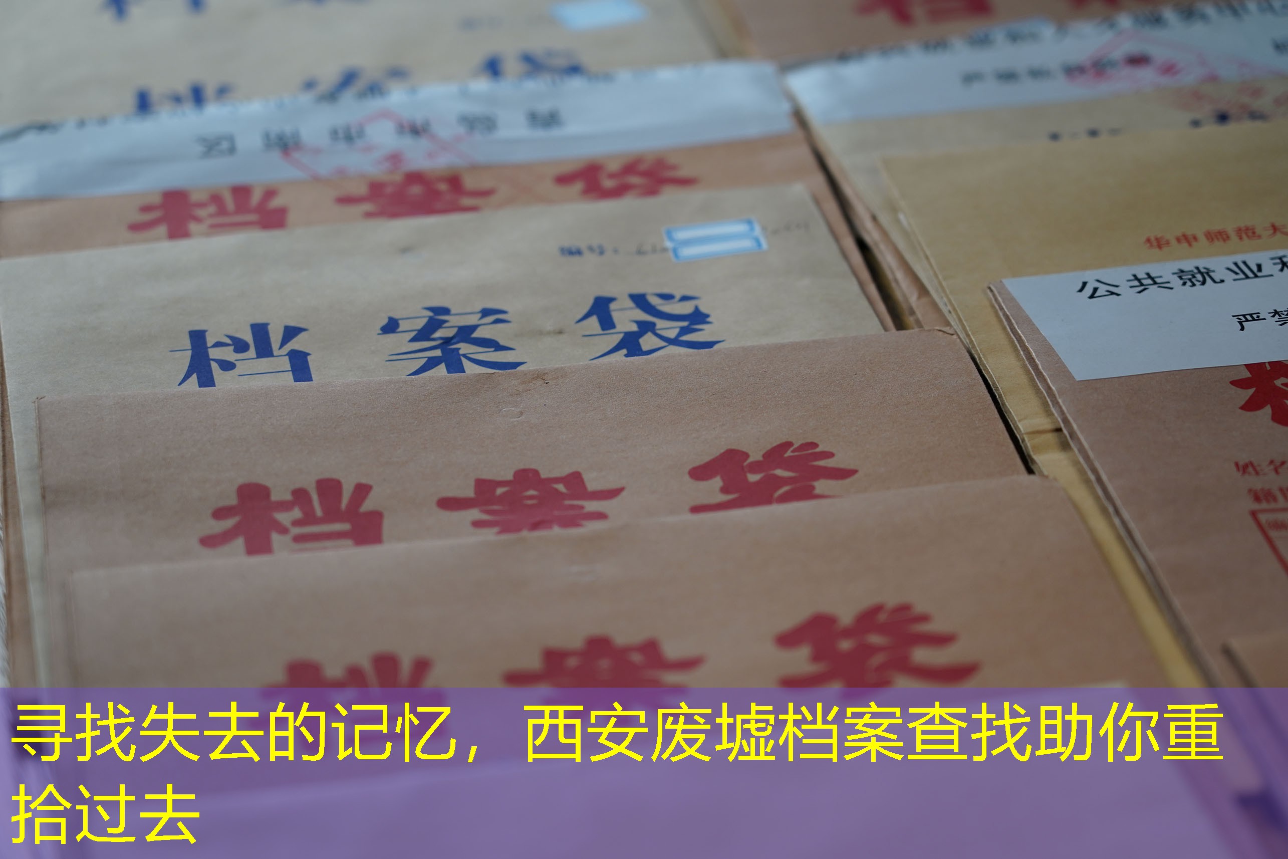 档案查询