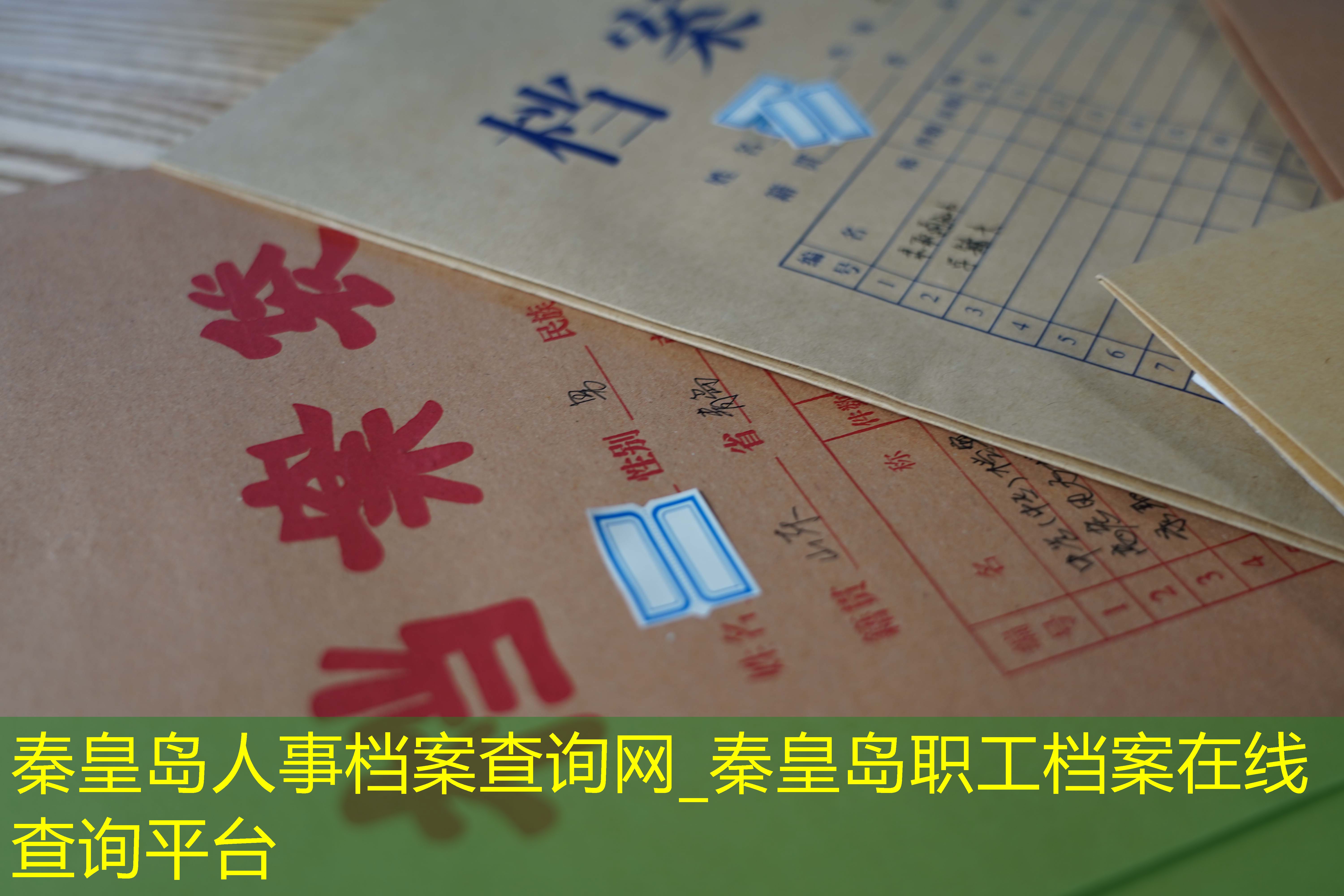 档案查询