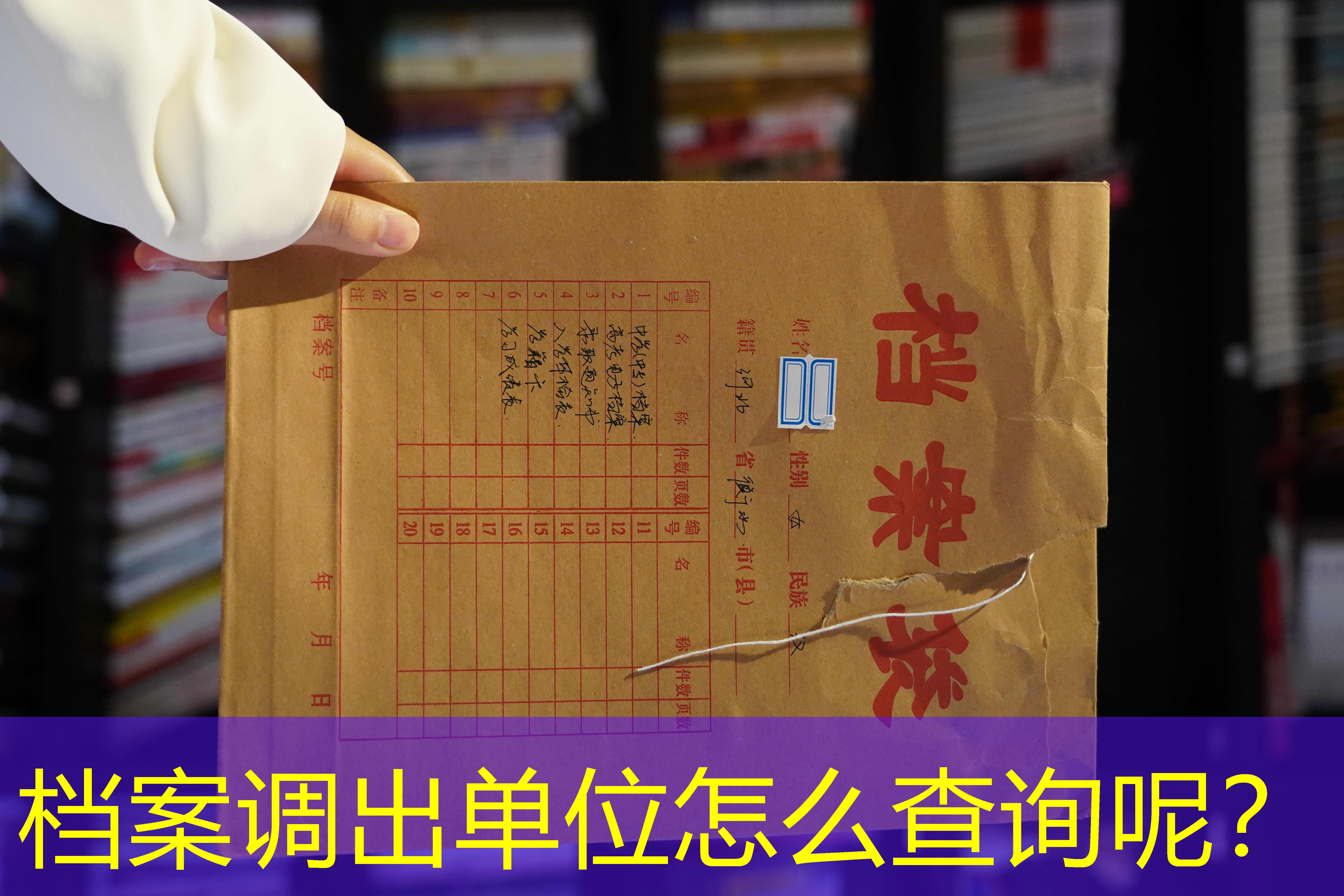 档案查询