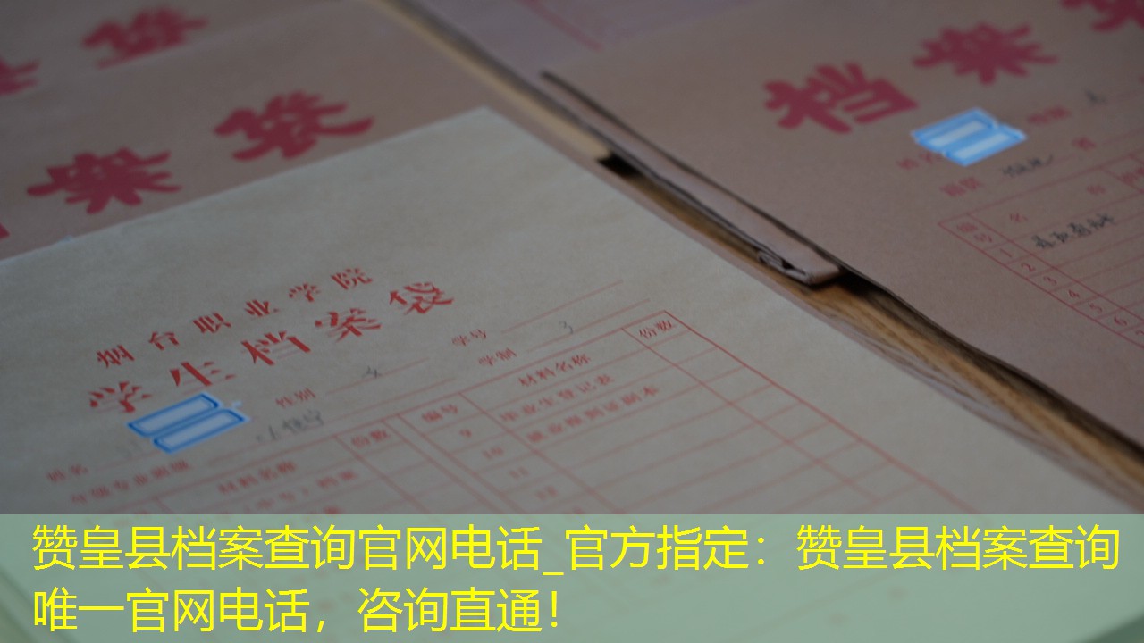 档案查询