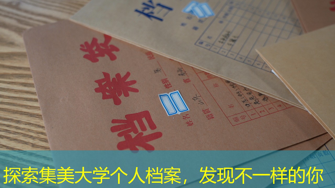 档案查询