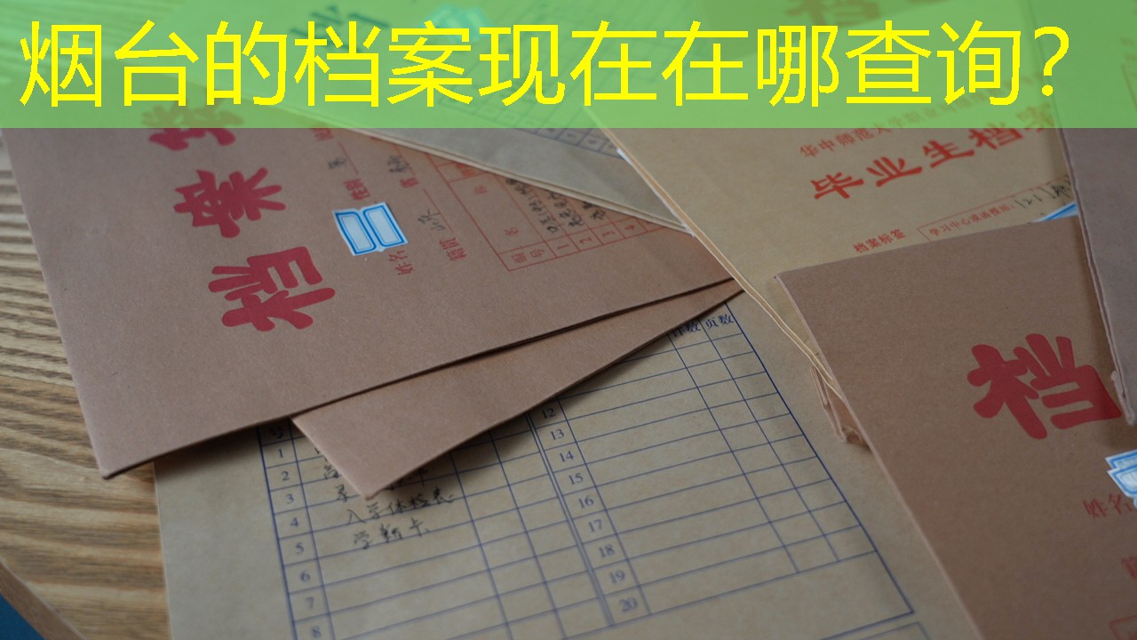 档案查询