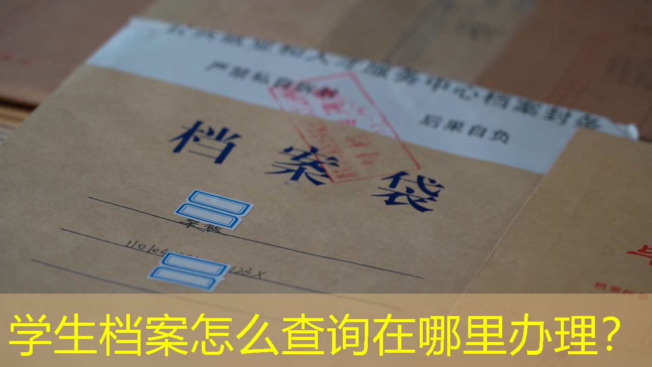 档案查询