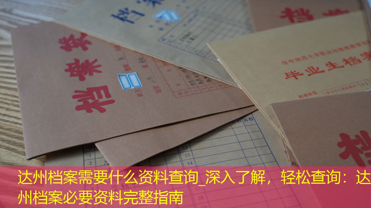 档案查询