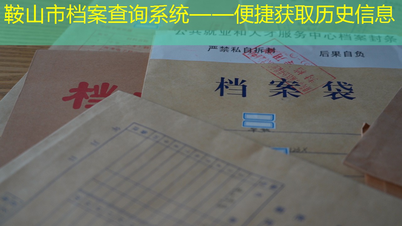 档案查询