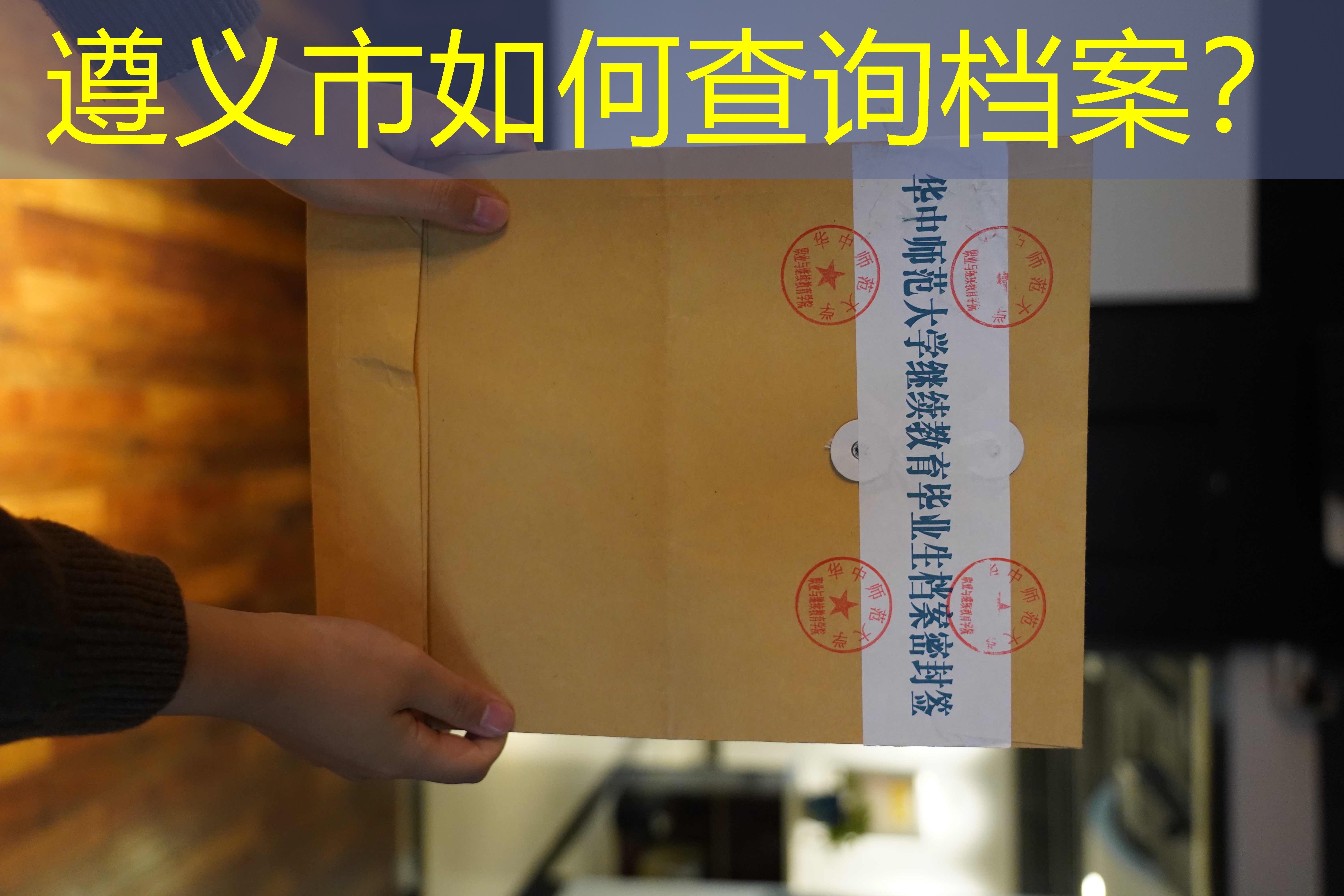档案查询