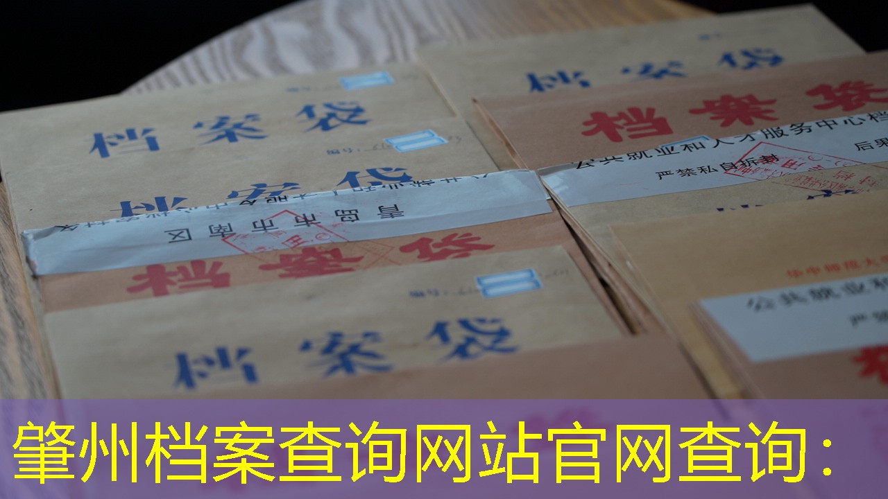 档案查询