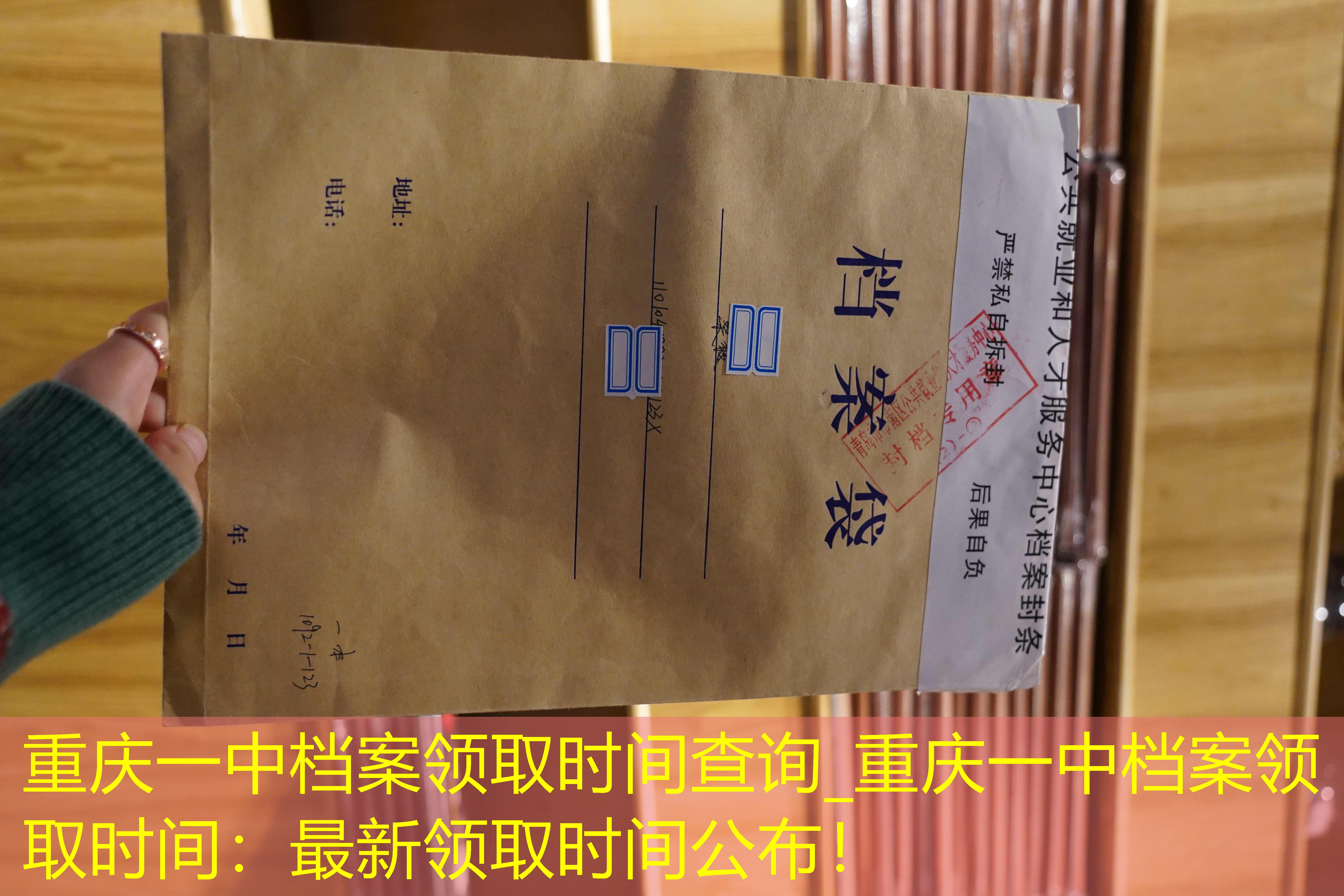 档案查询