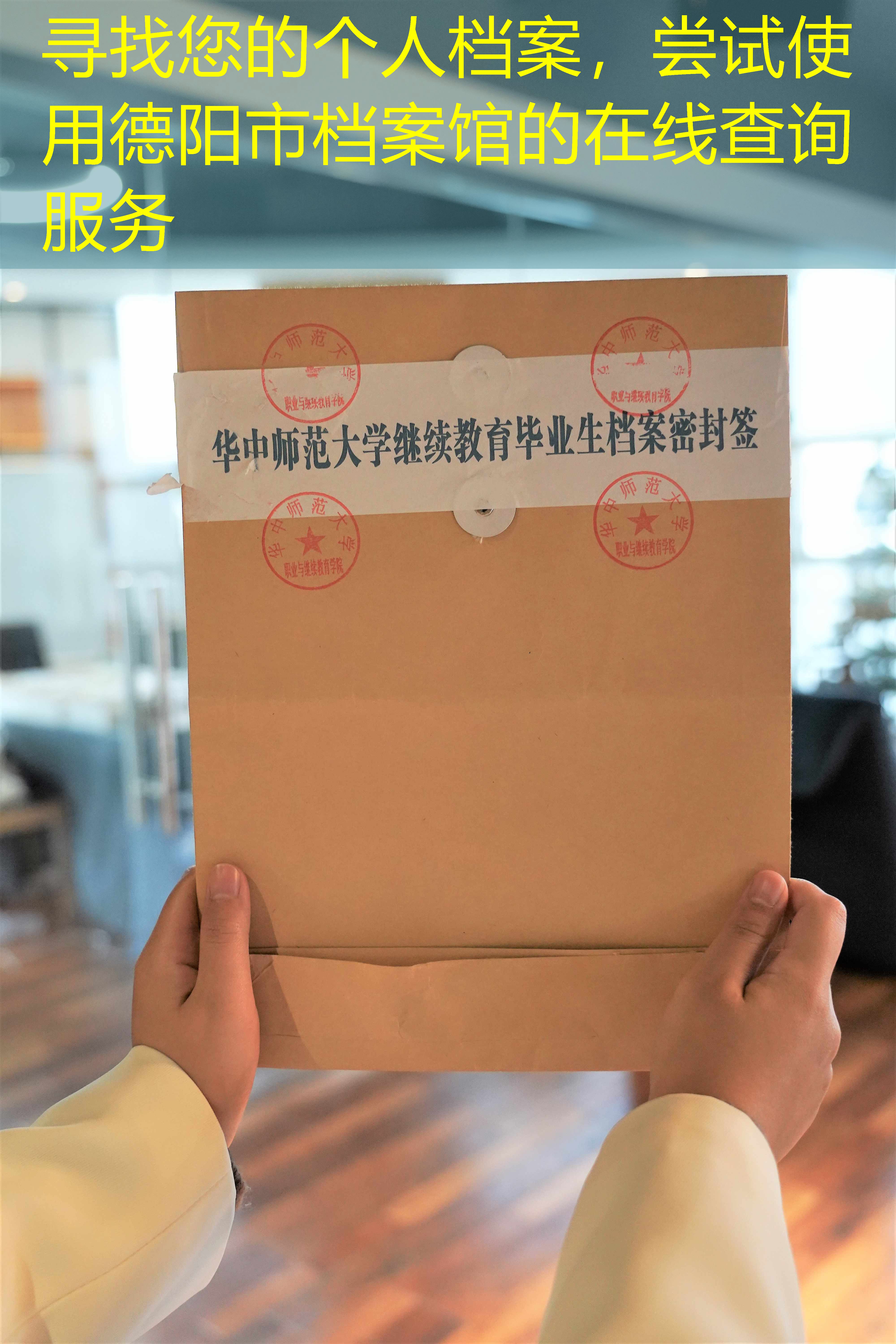 档案查询