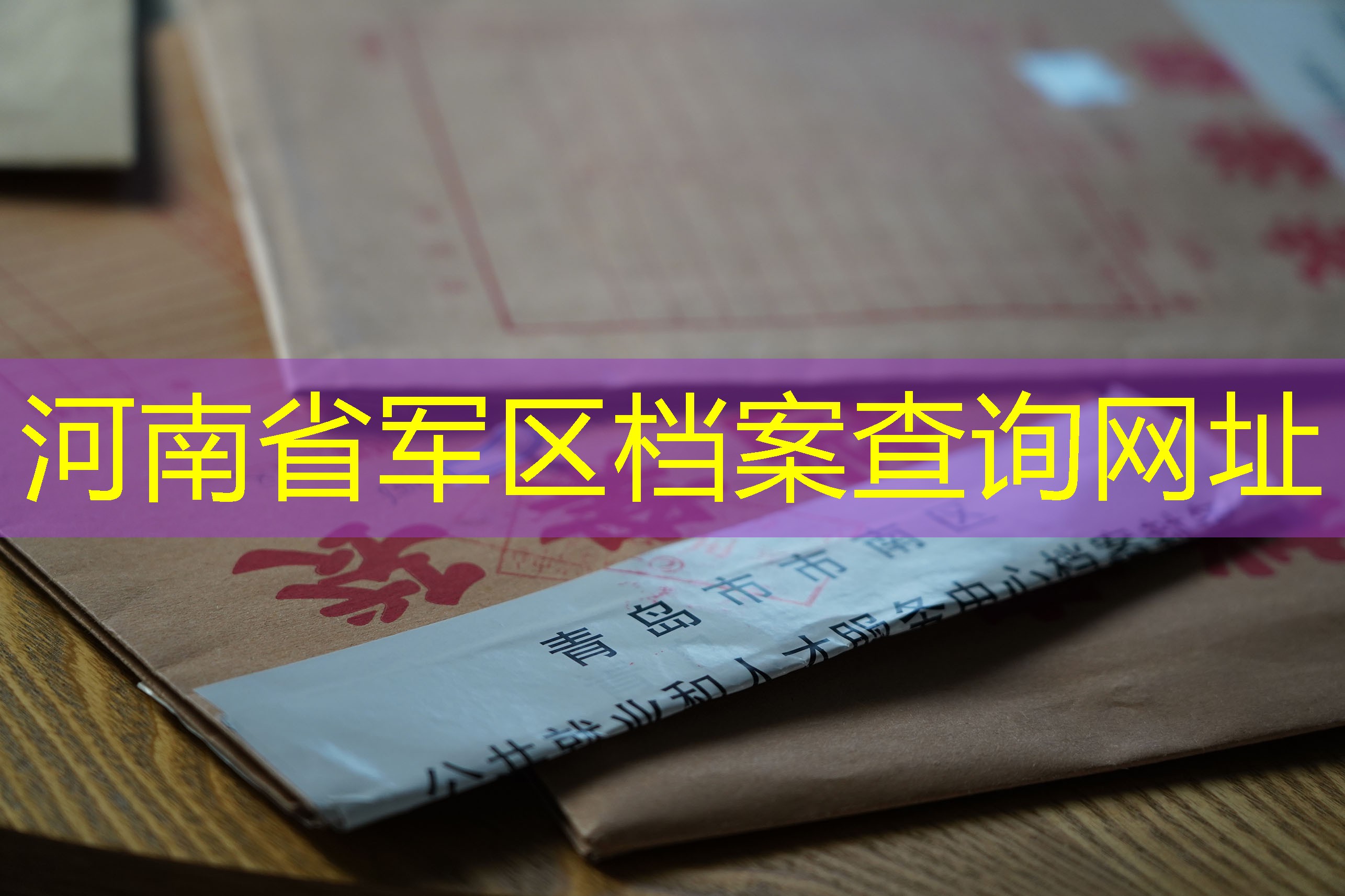 档案查询