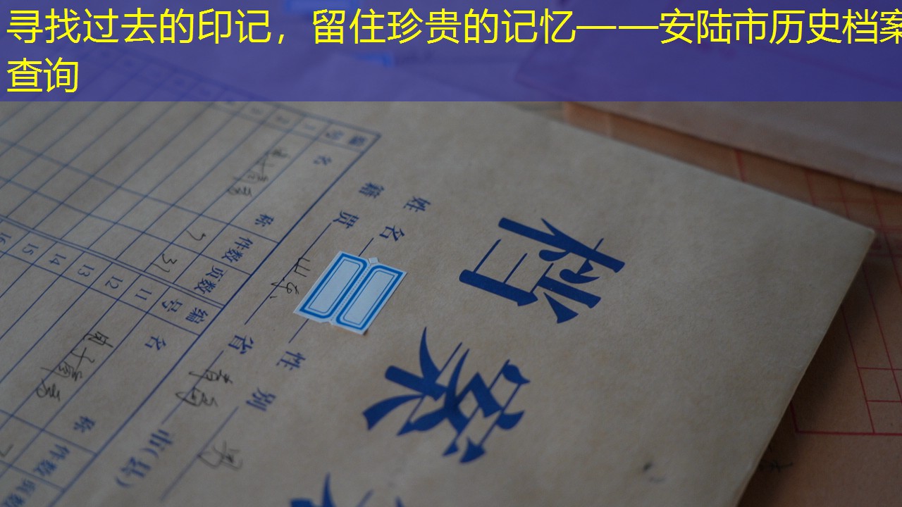 档案查询