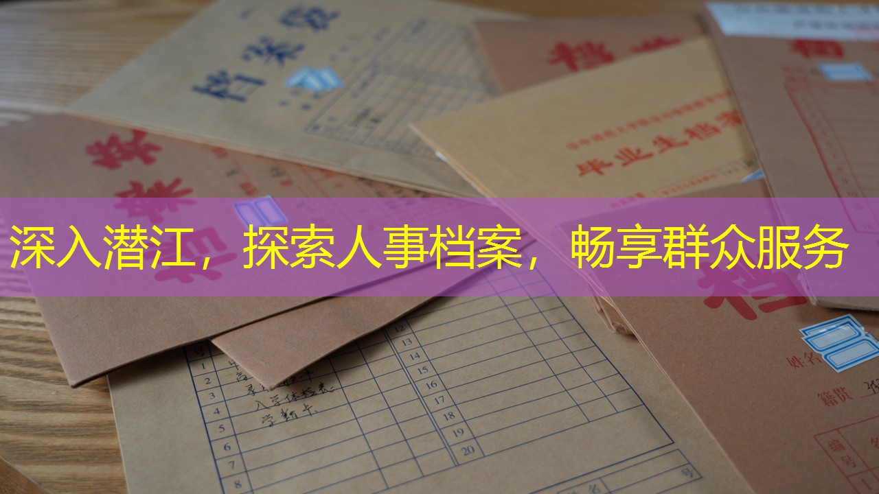 档案查询