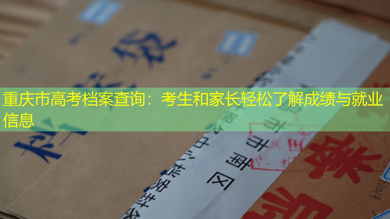 档案查询