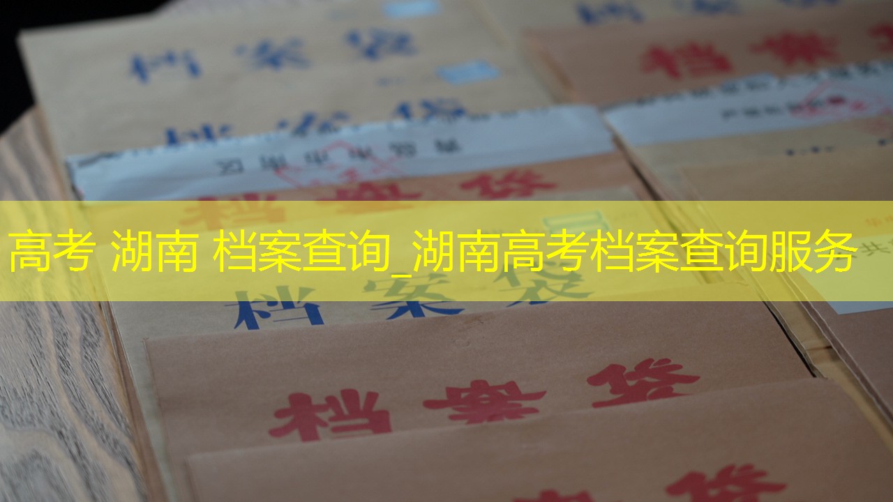 档案查询
