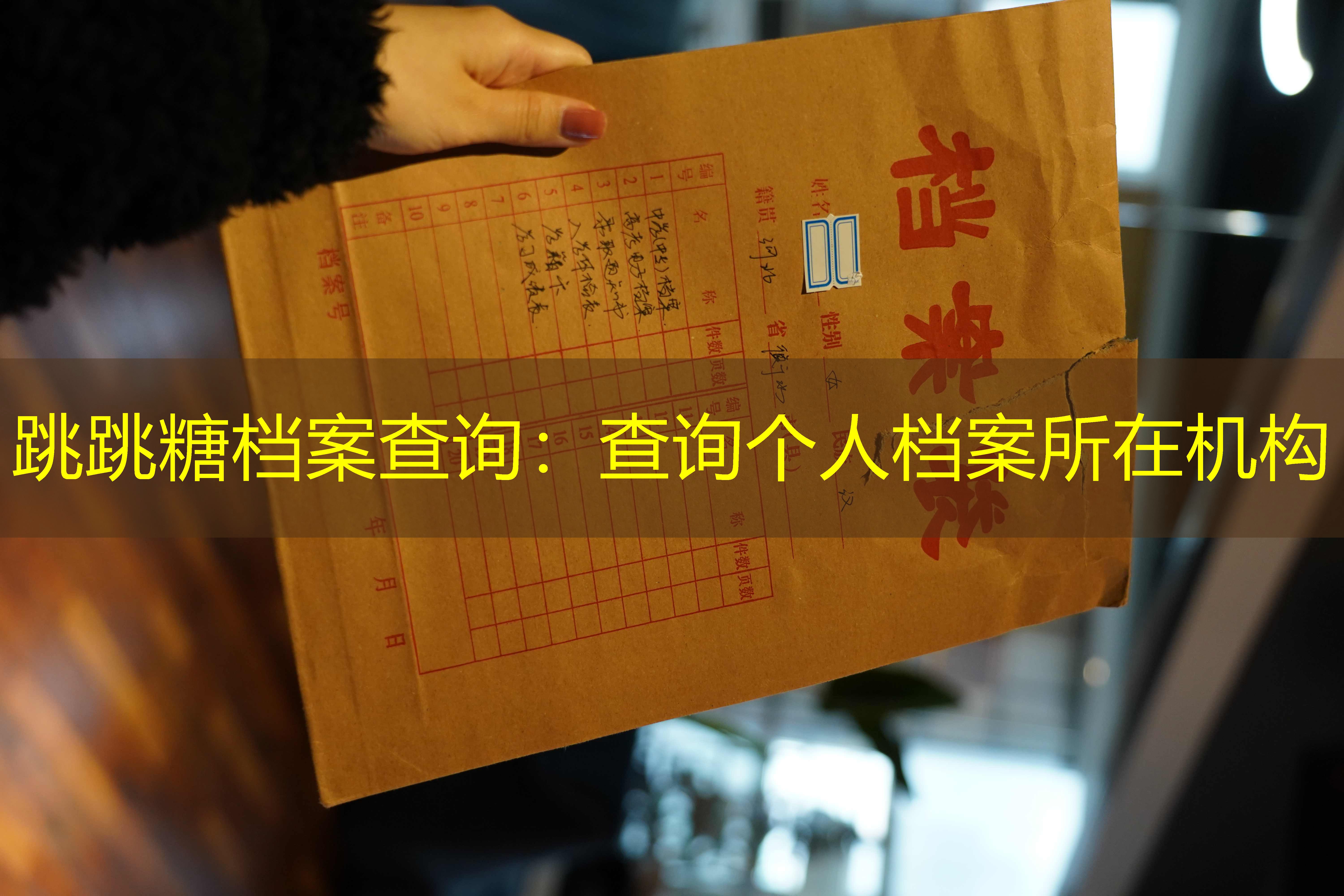 档案查询
