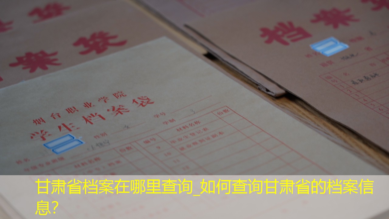 档案查询