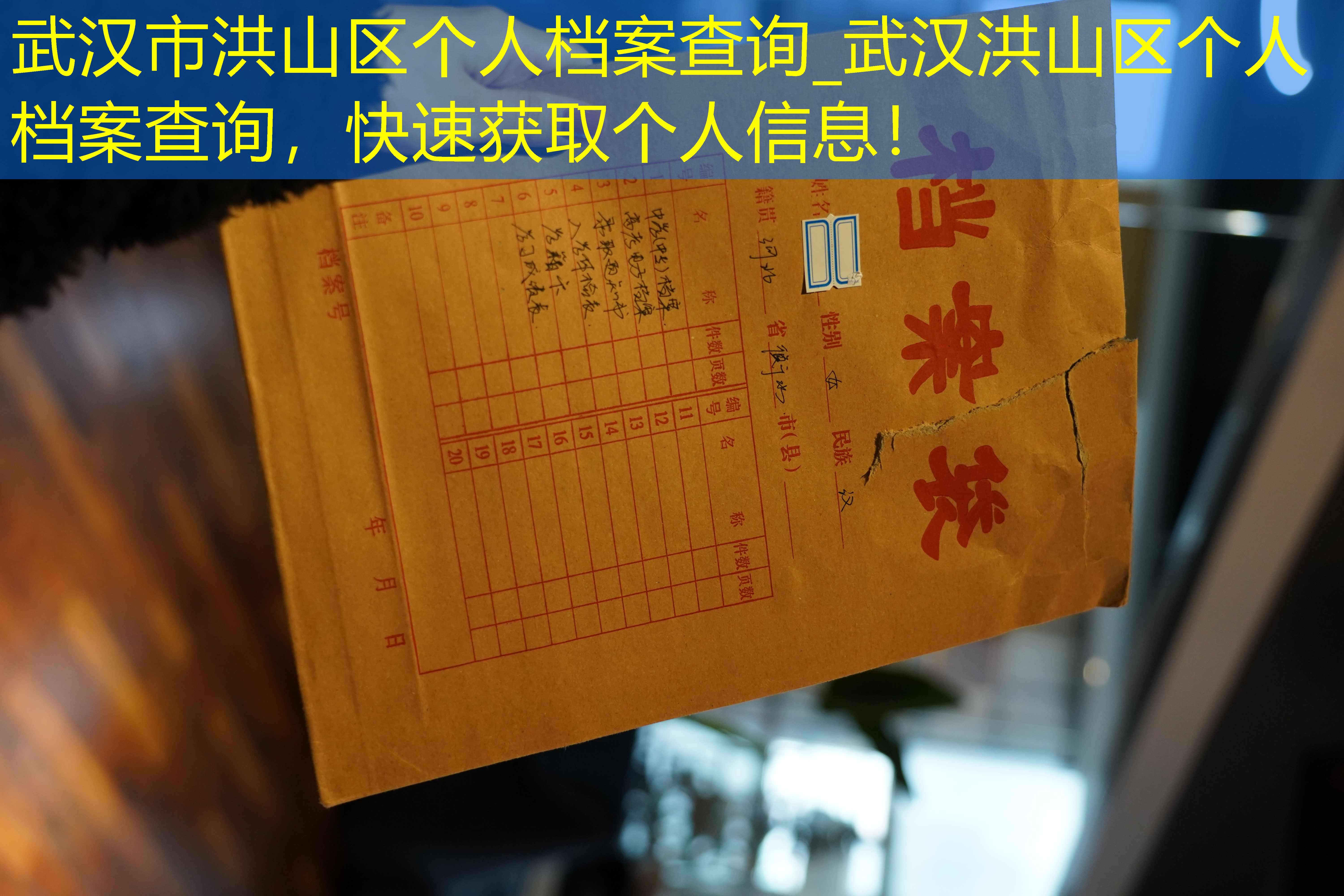 档案查询