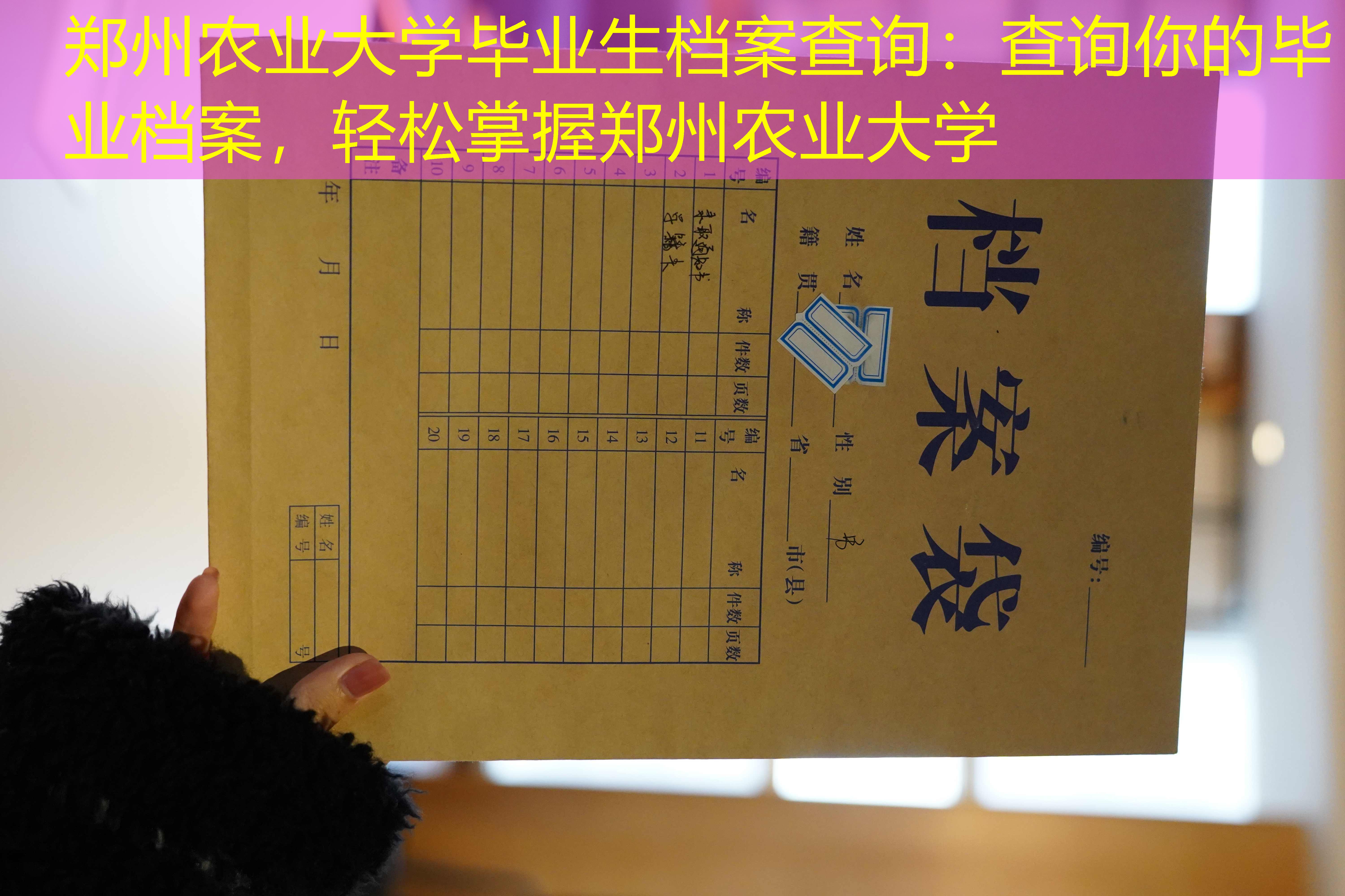 档案查询