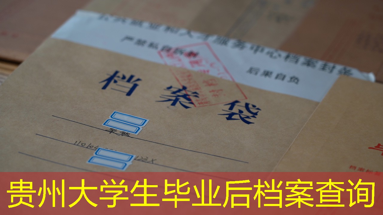 档案查询