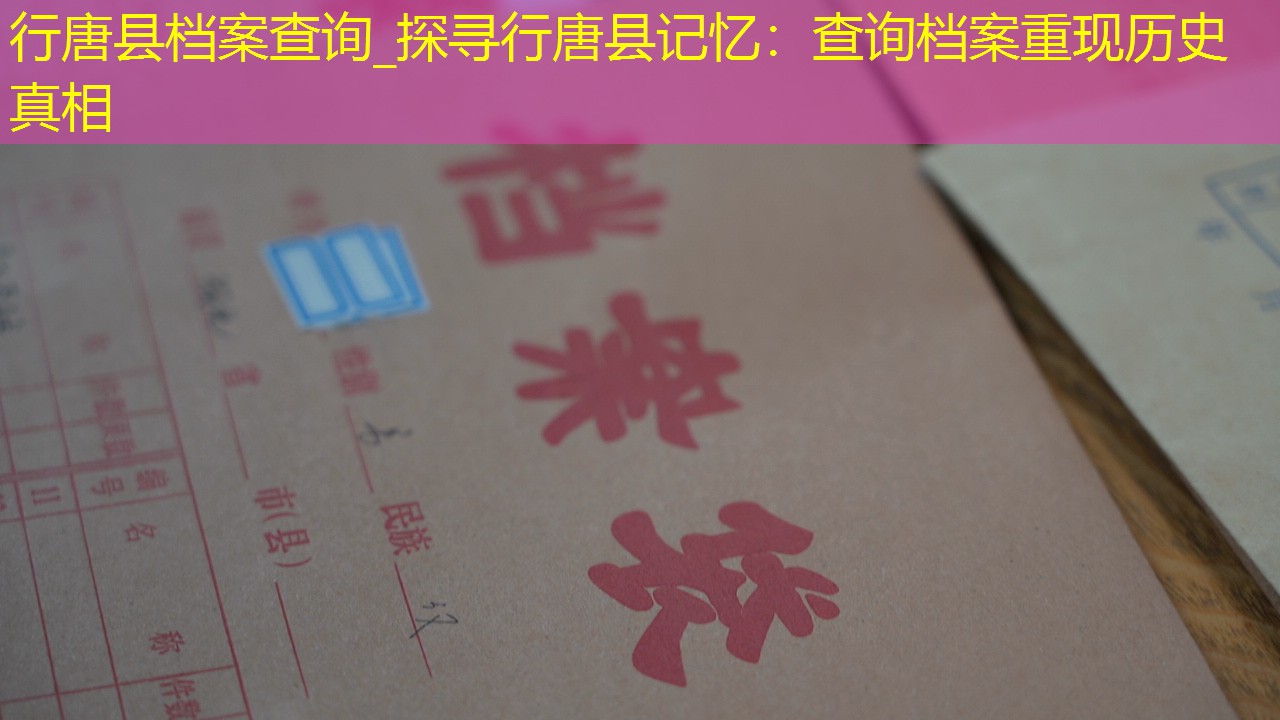 档案查询