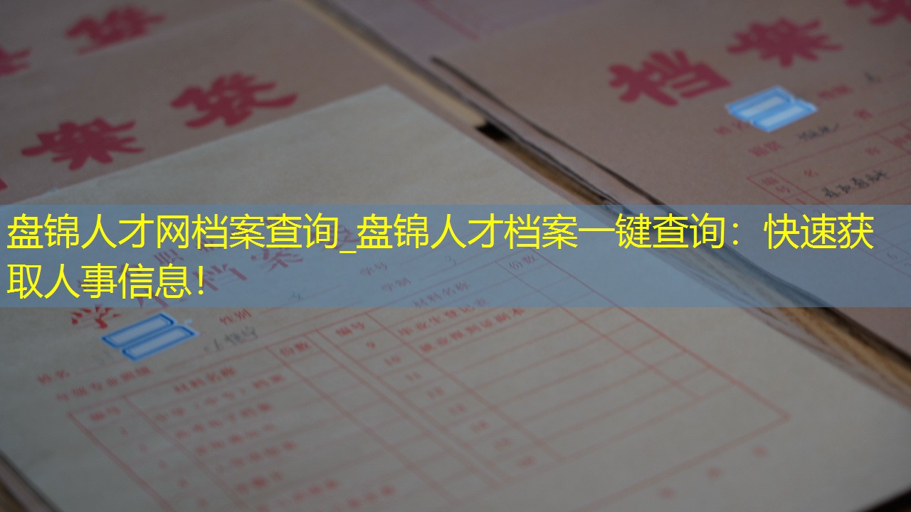 档案查询