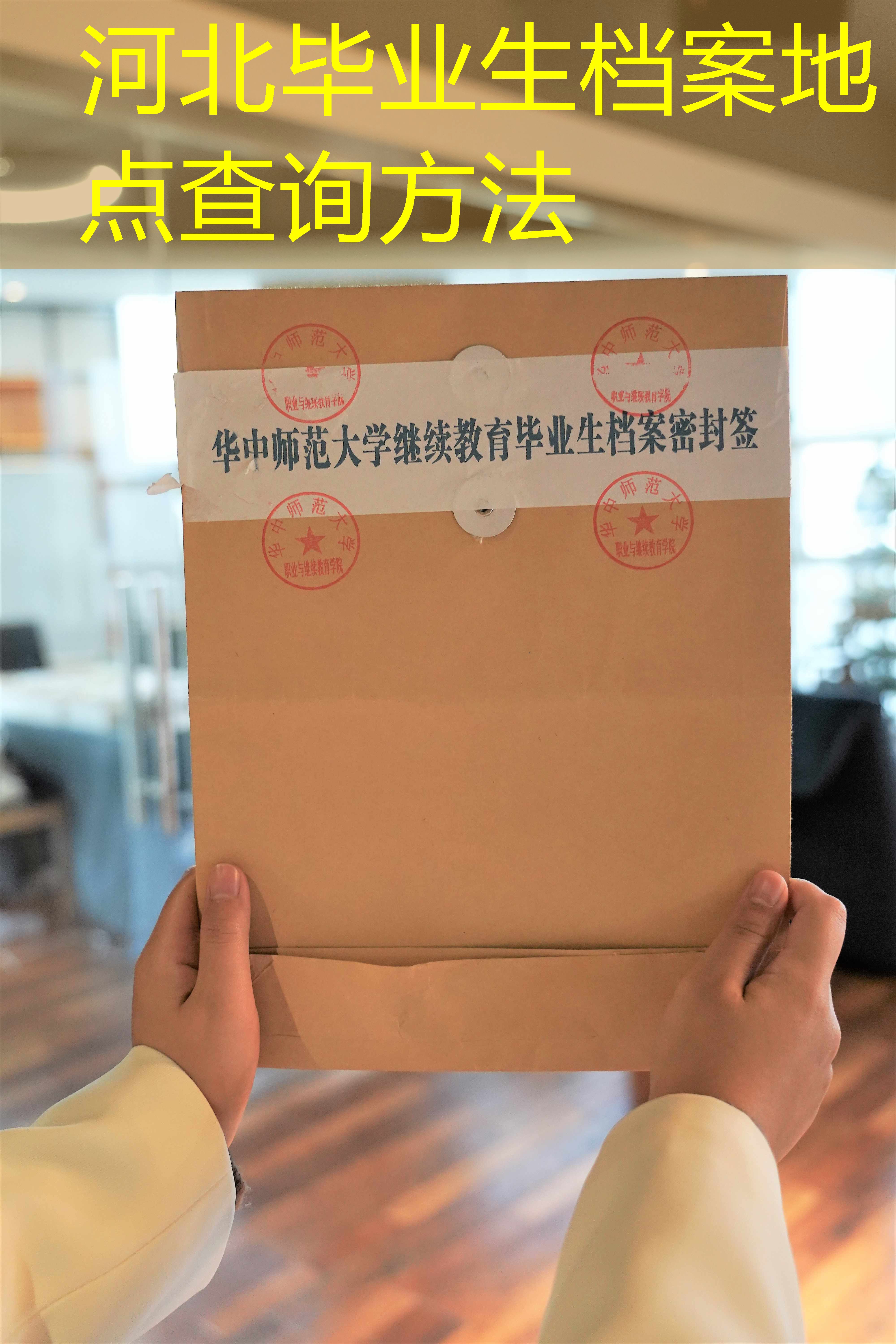 档案查询