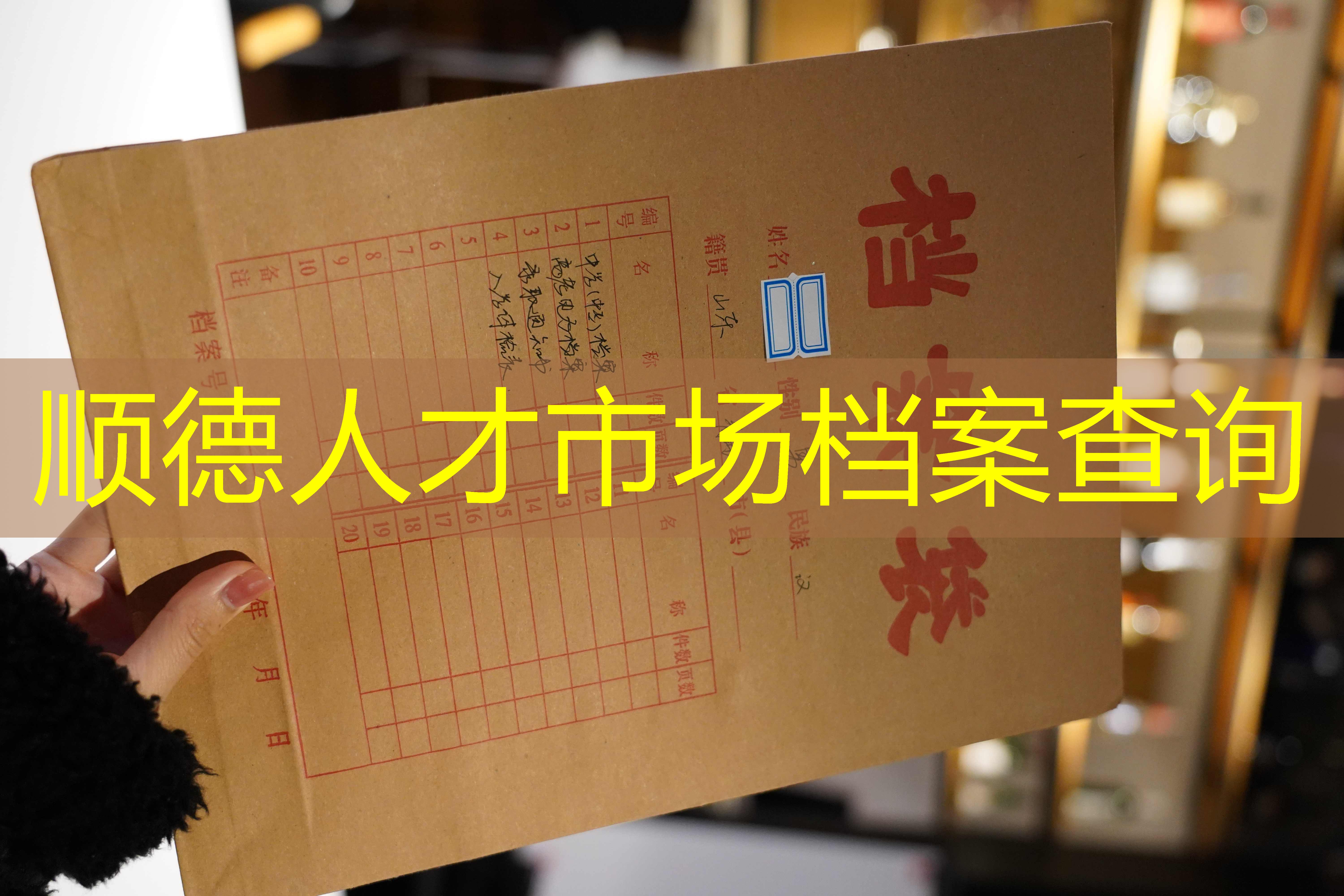 档案查询
