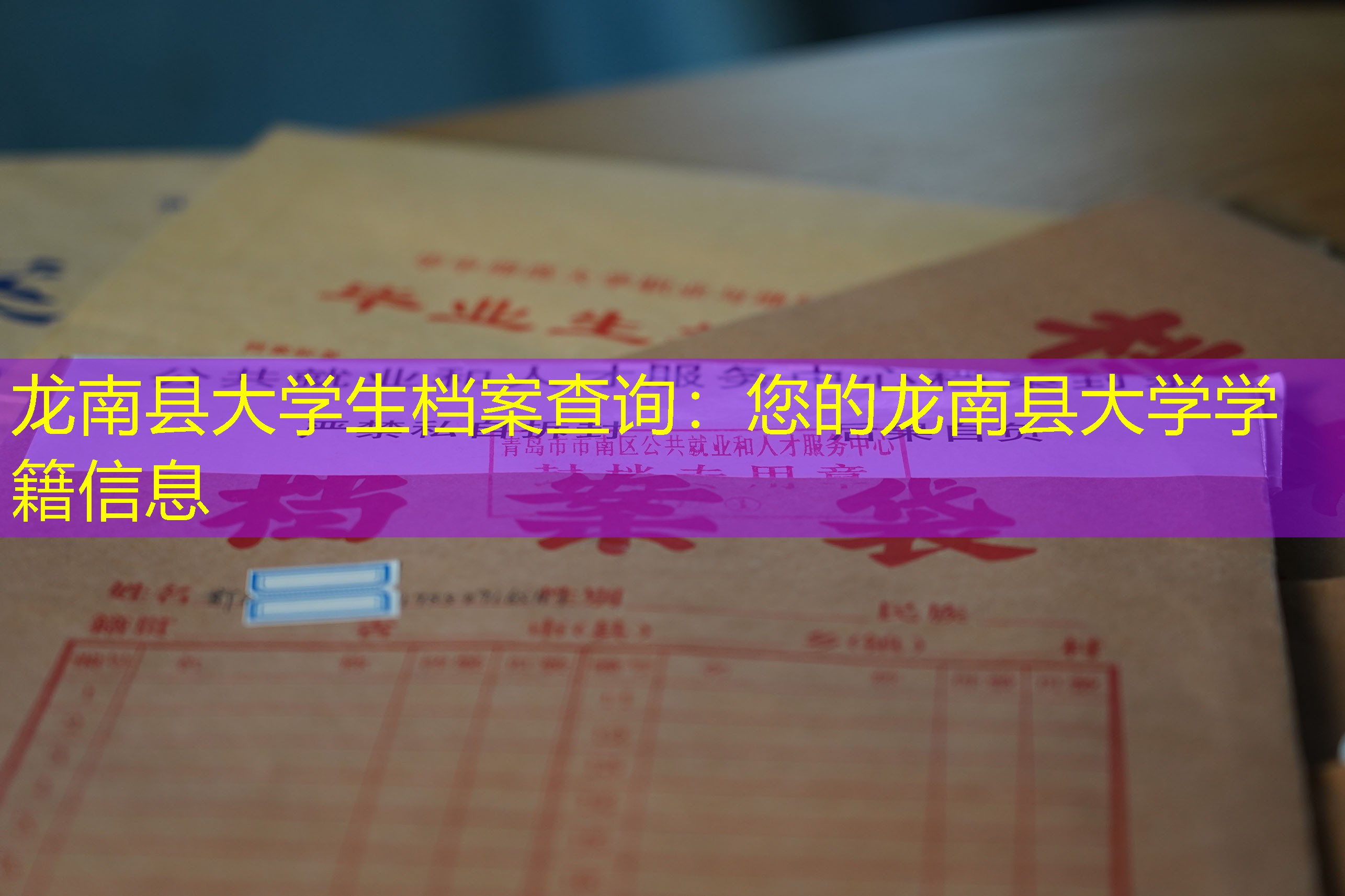 档案查询