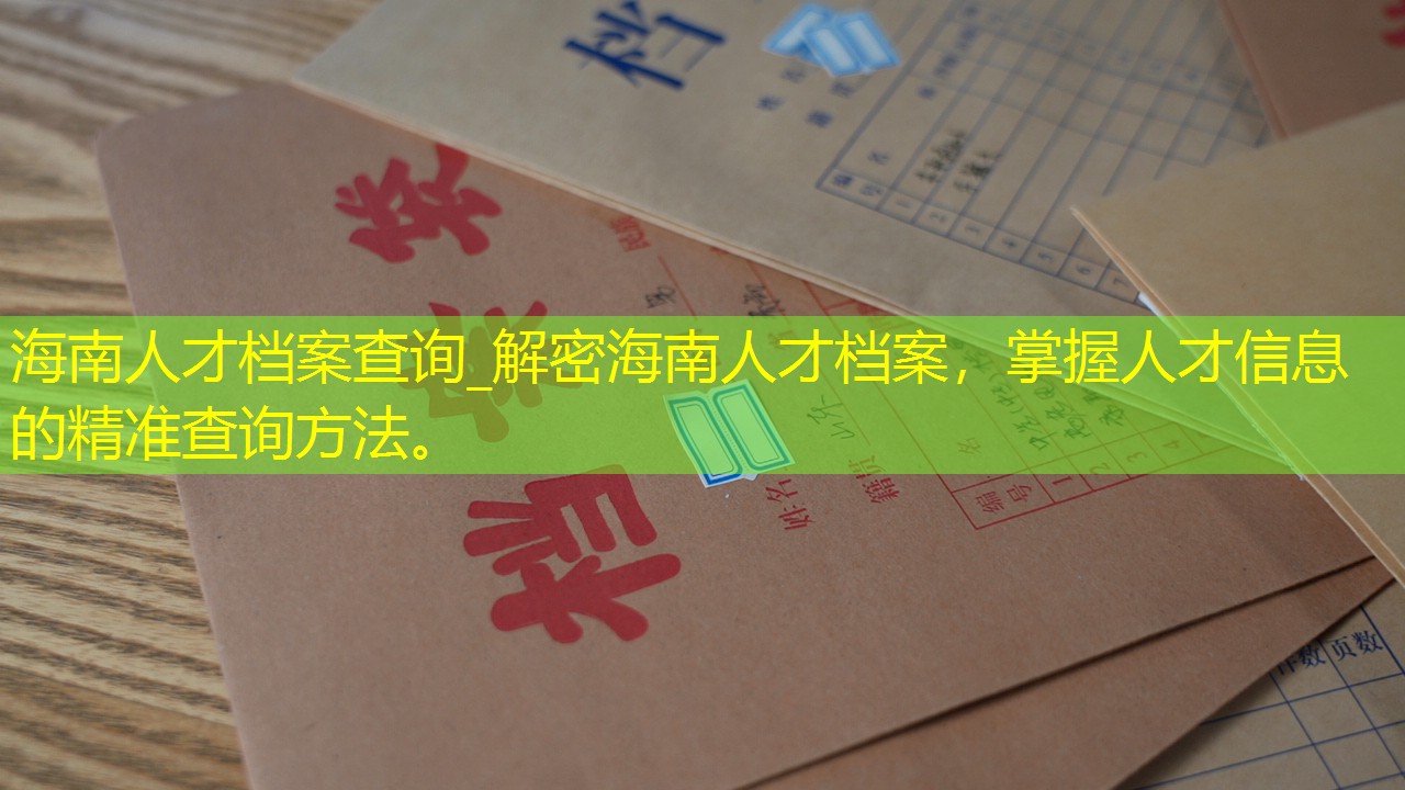 档案查询