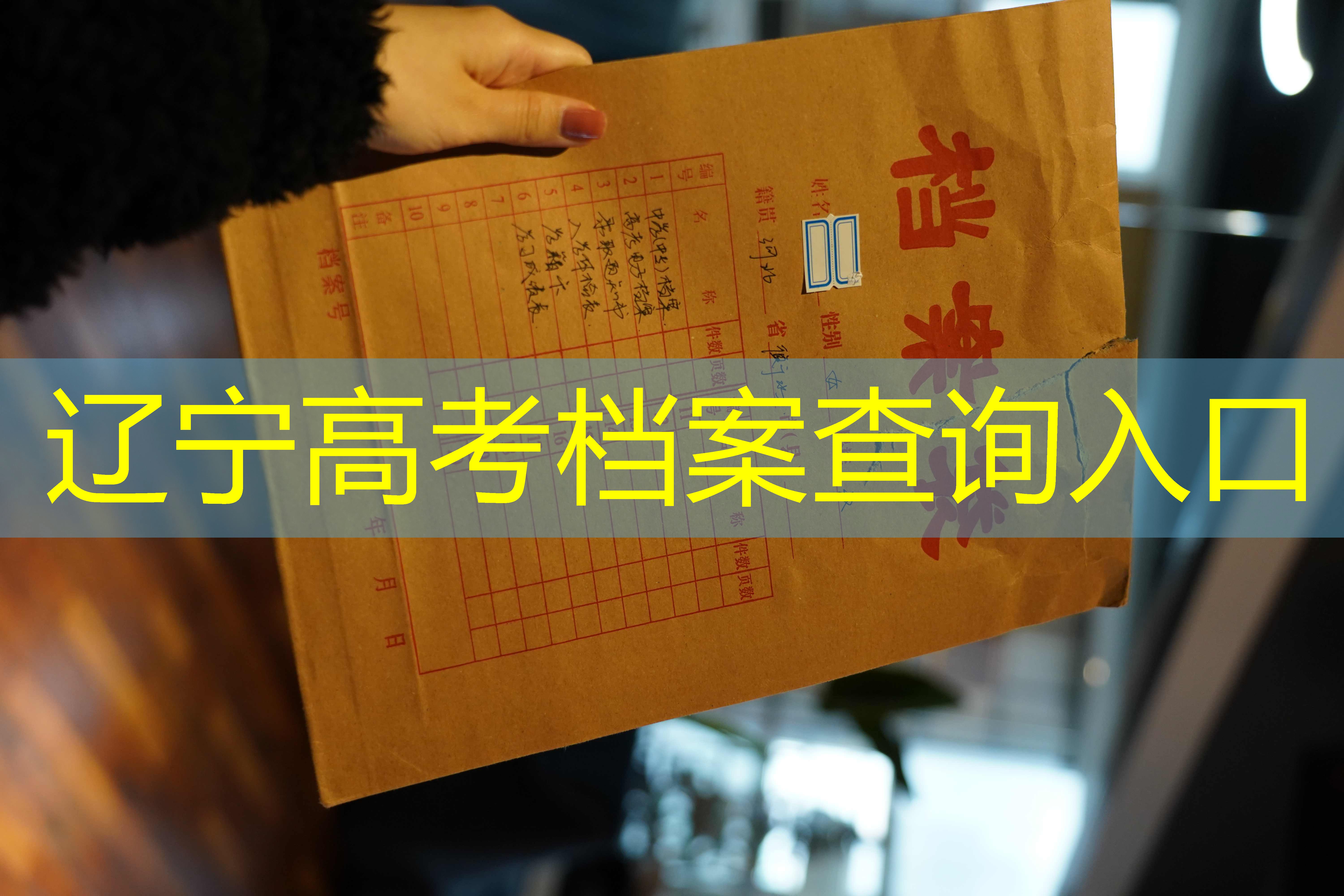 档案查询