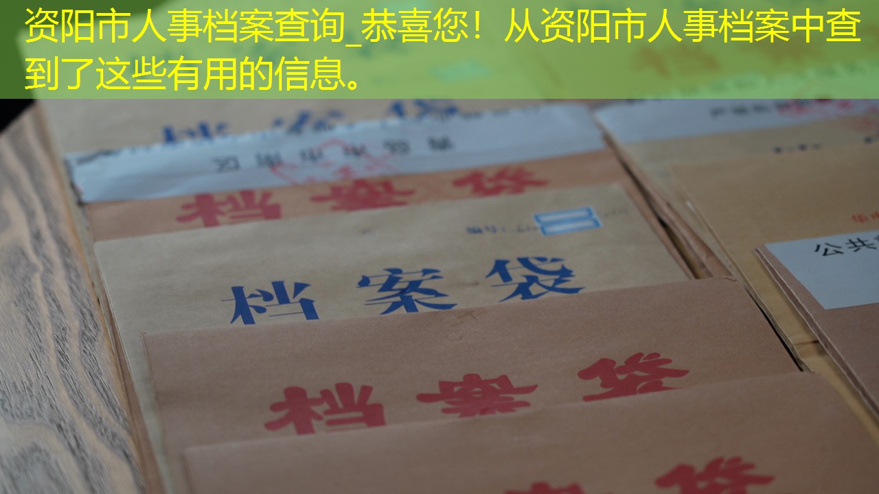 档案查询