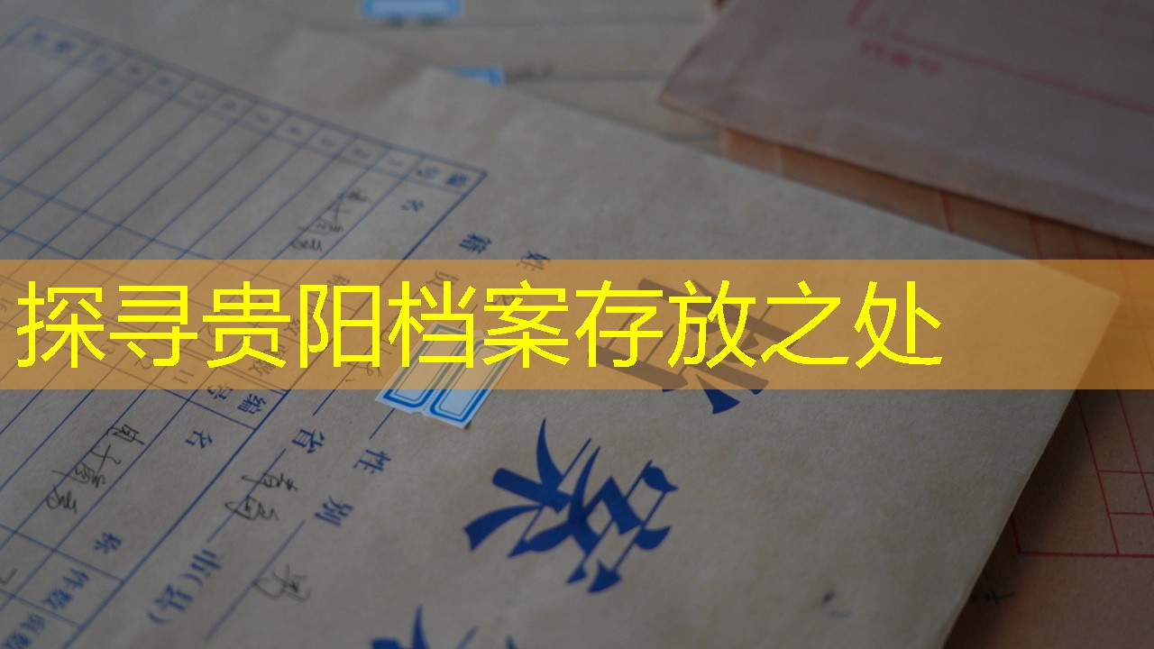 档案查询