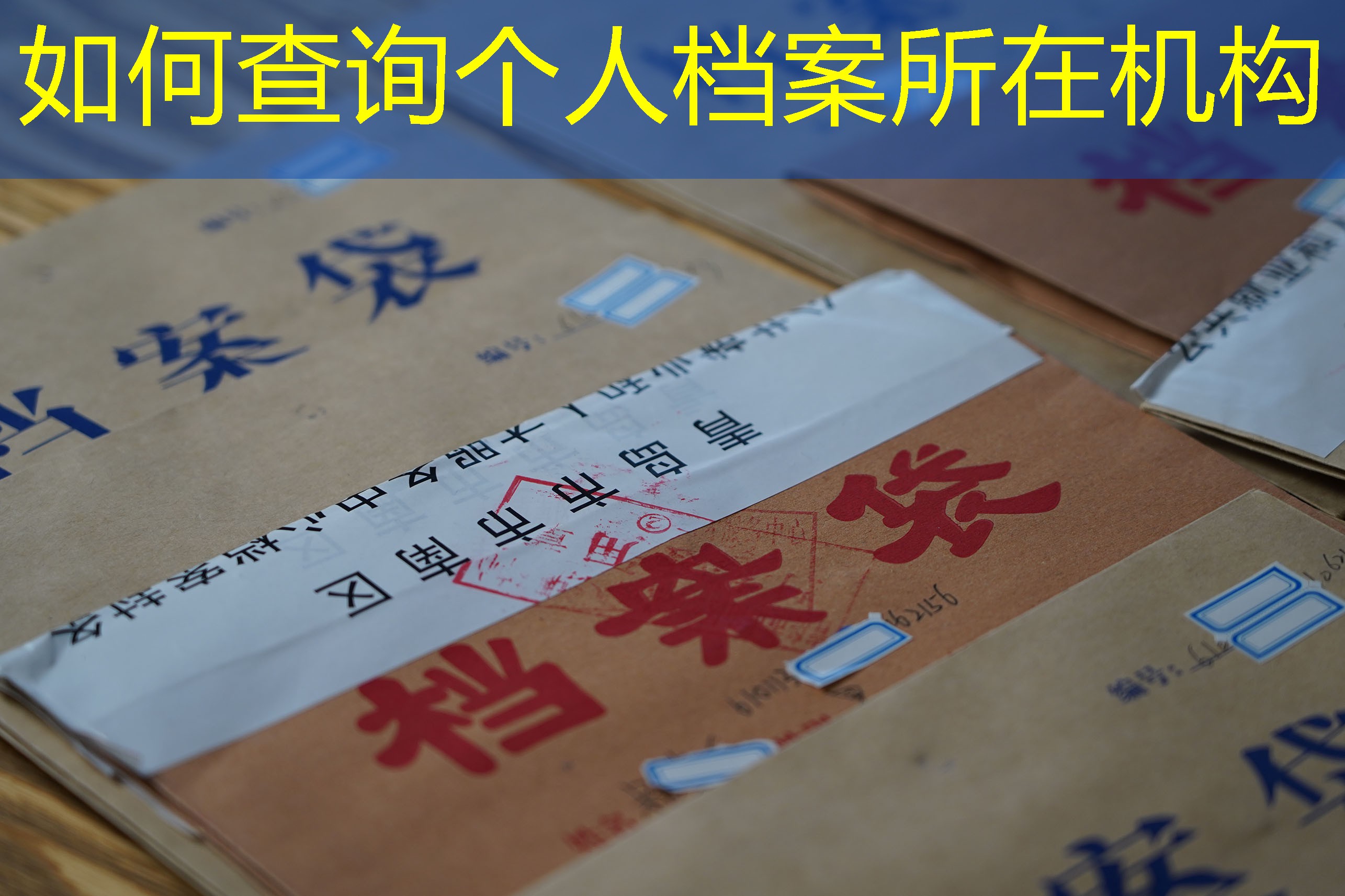 档案查询