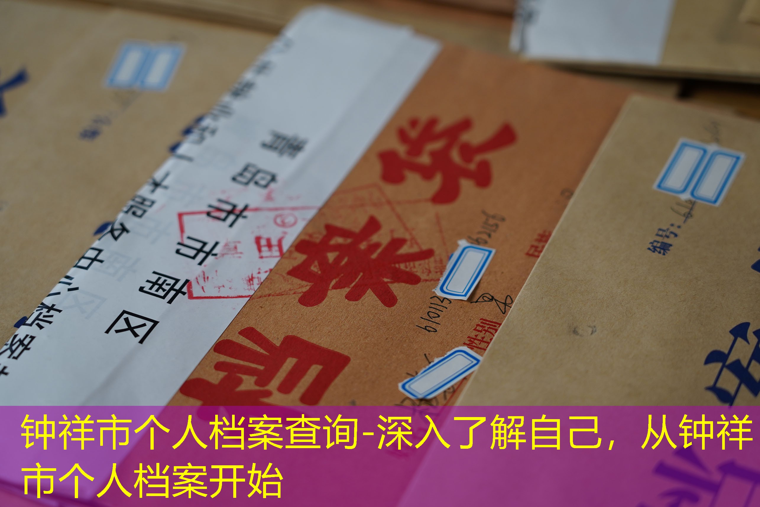 档案查询