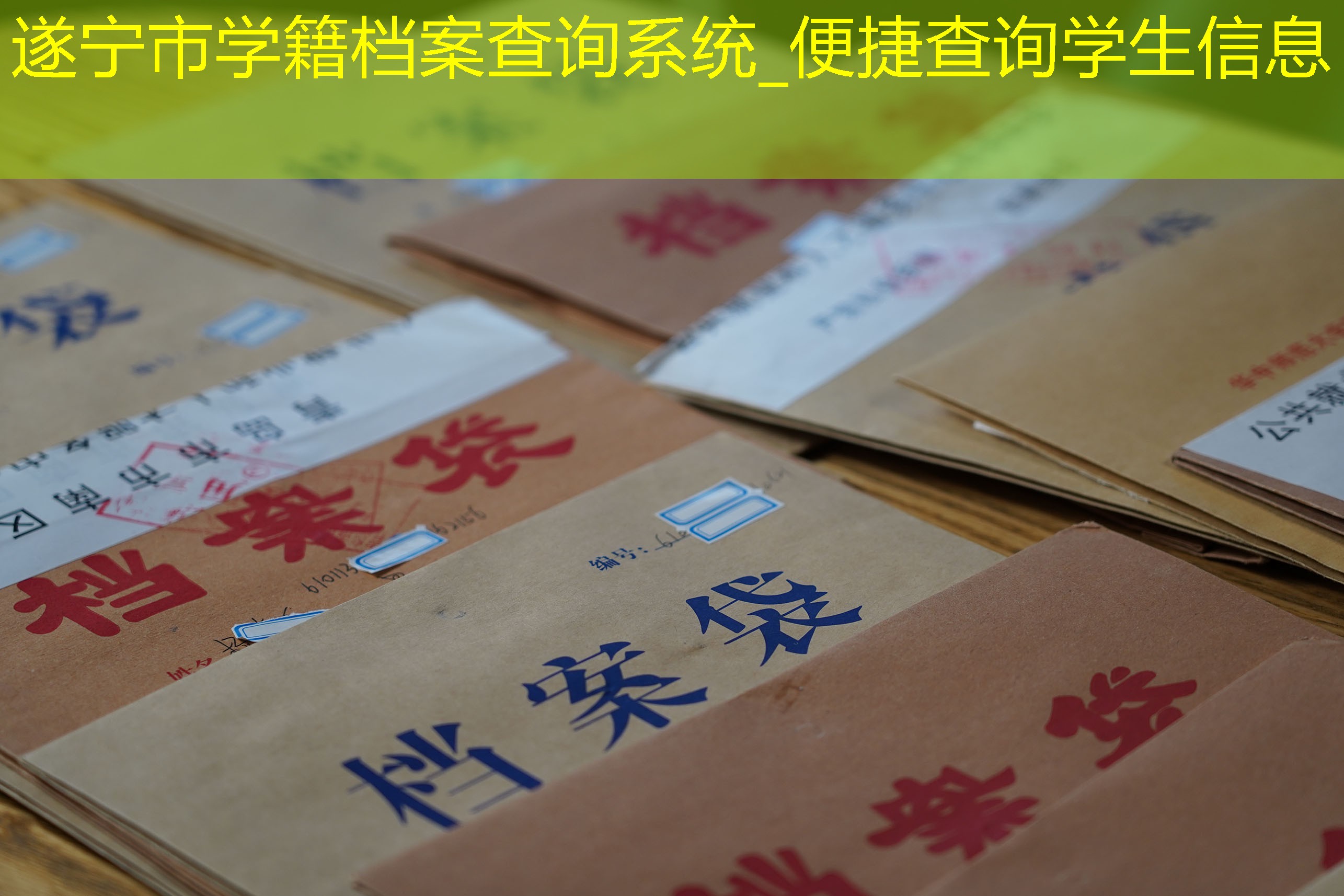 档案查询