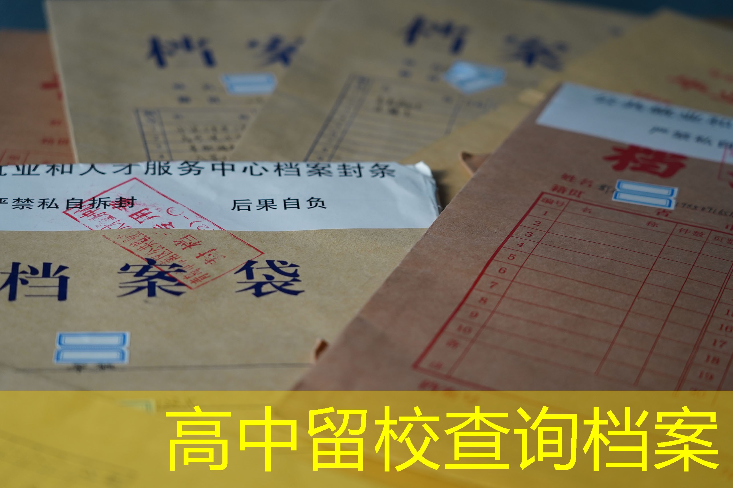 档案查询