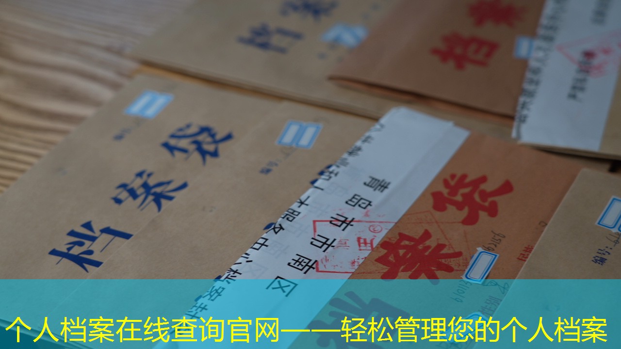 档案查询
