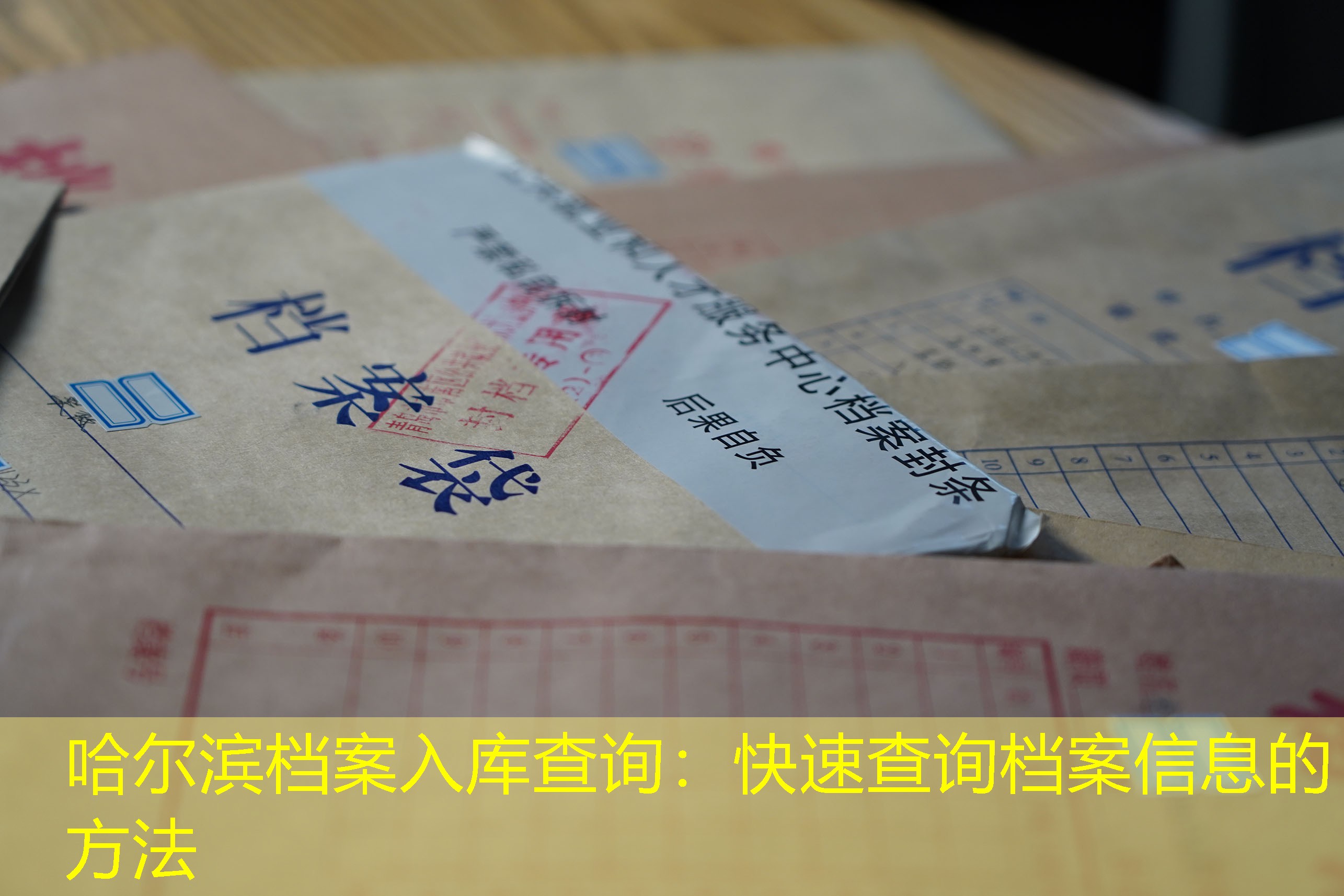 档案查询