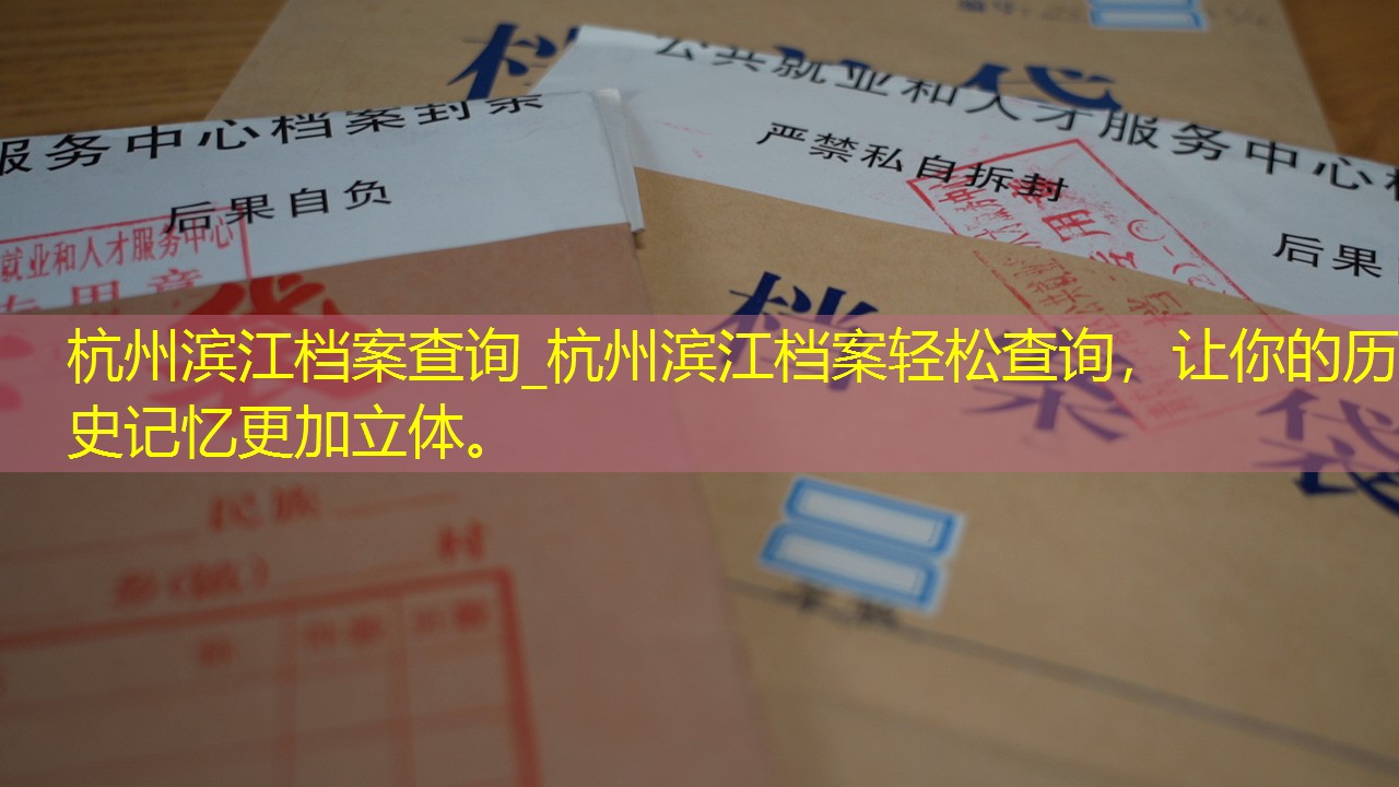 档案查询