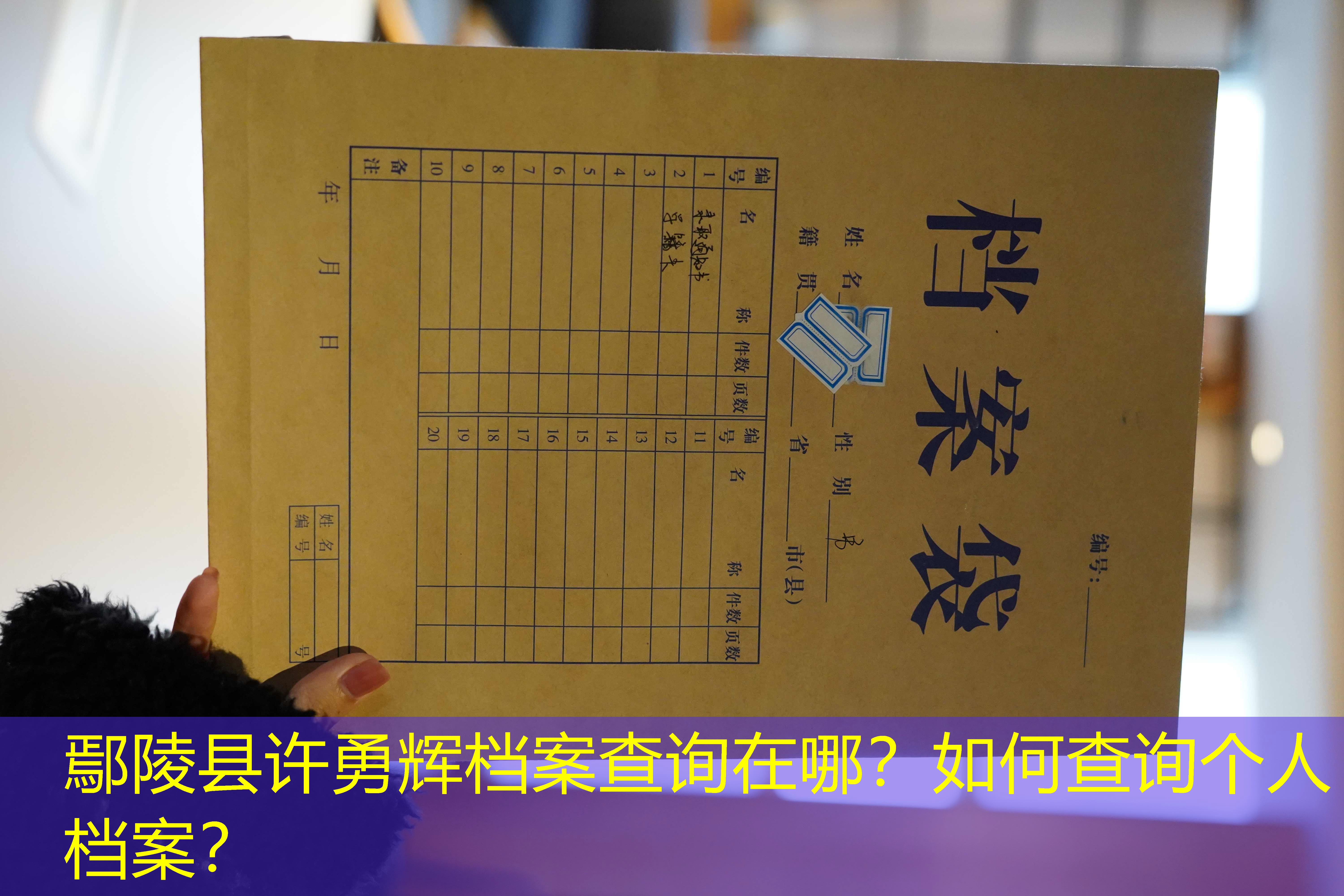 档案查询
