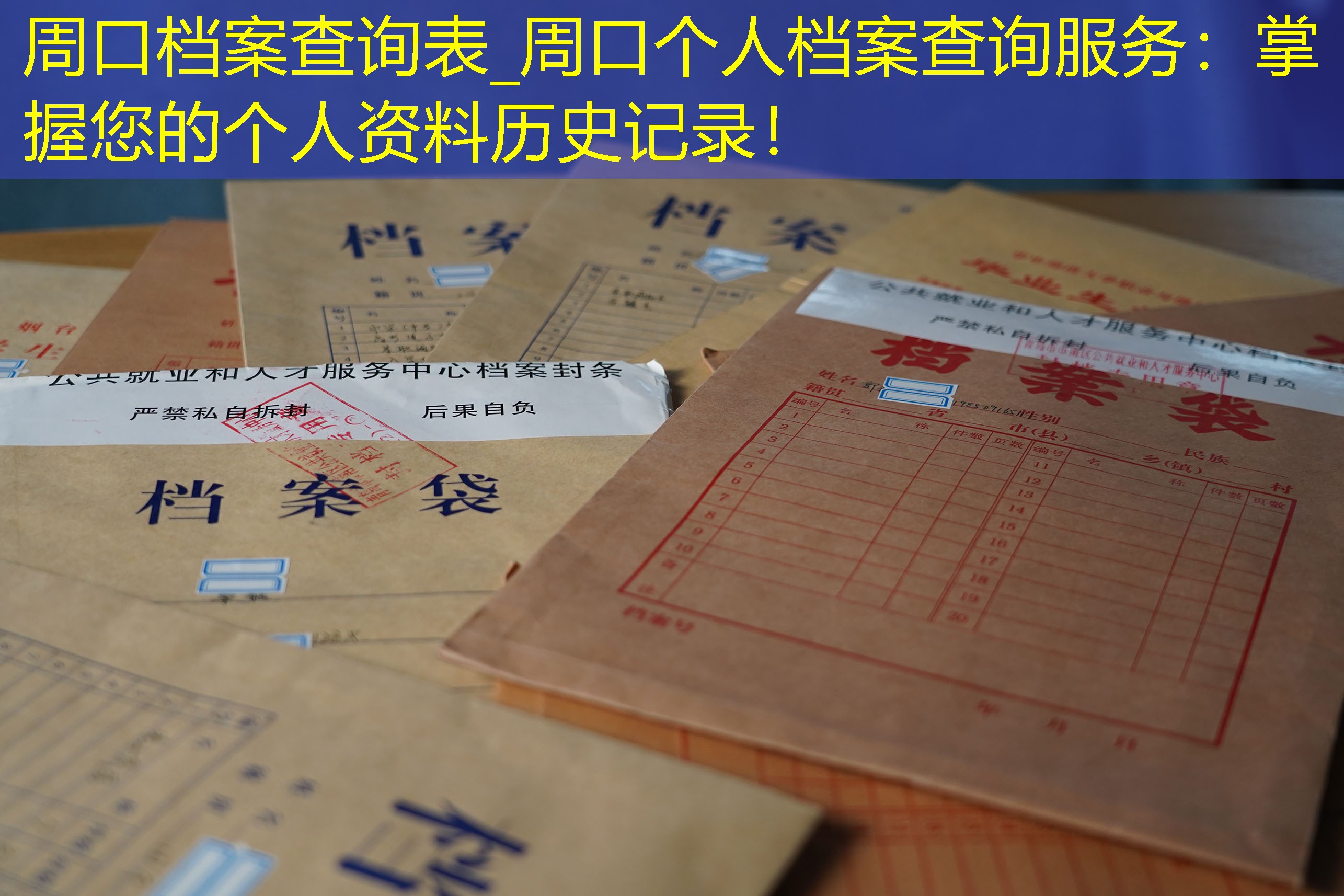 档案查询
