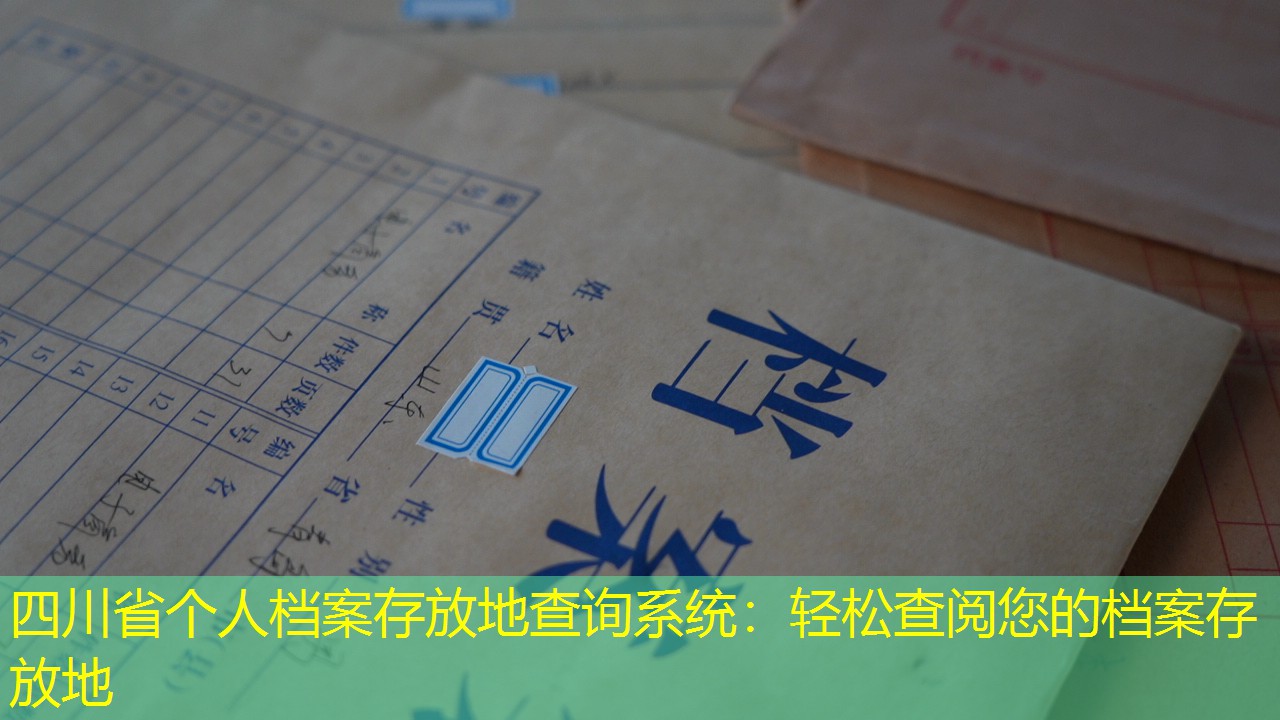 档案查询