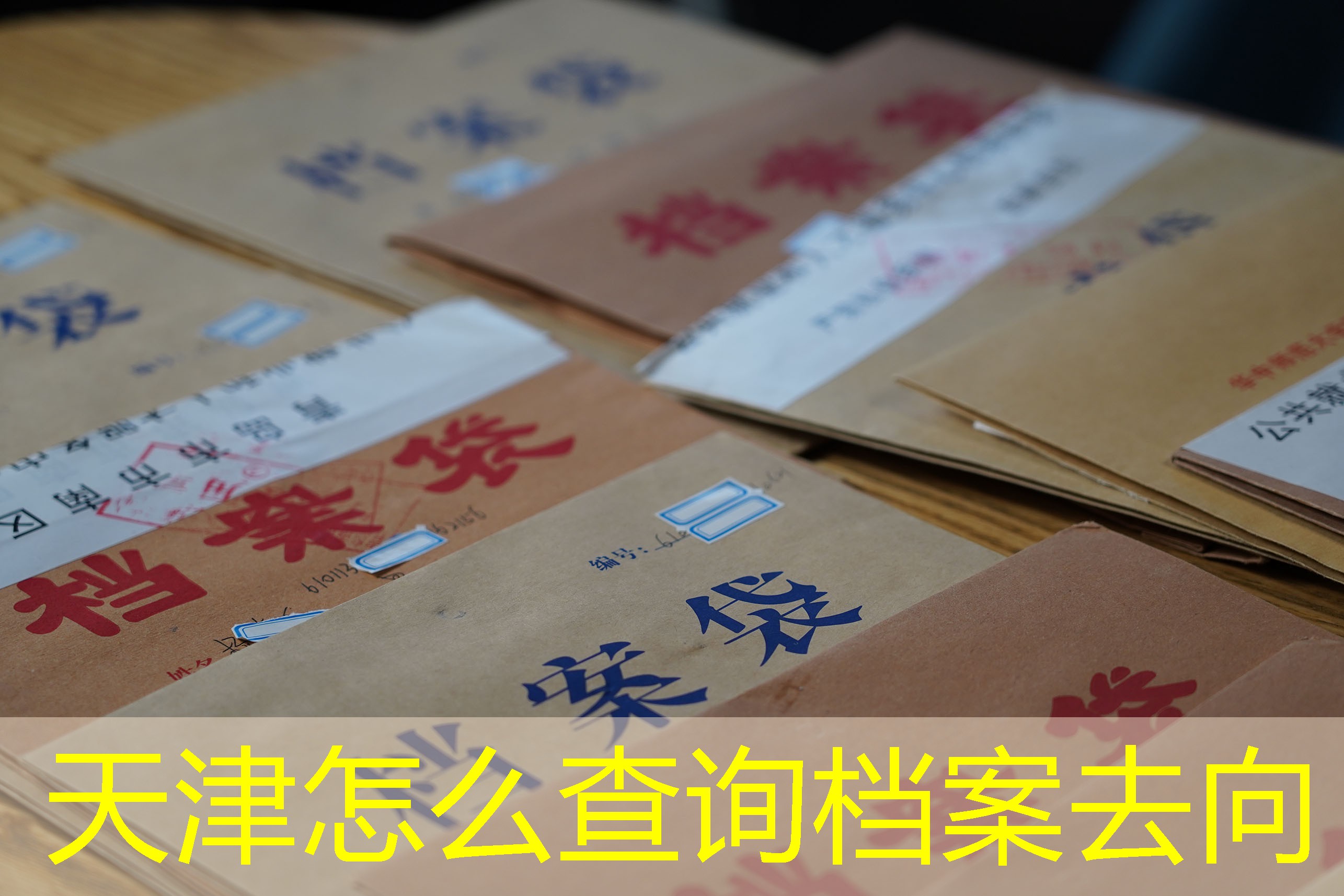 档案查询
