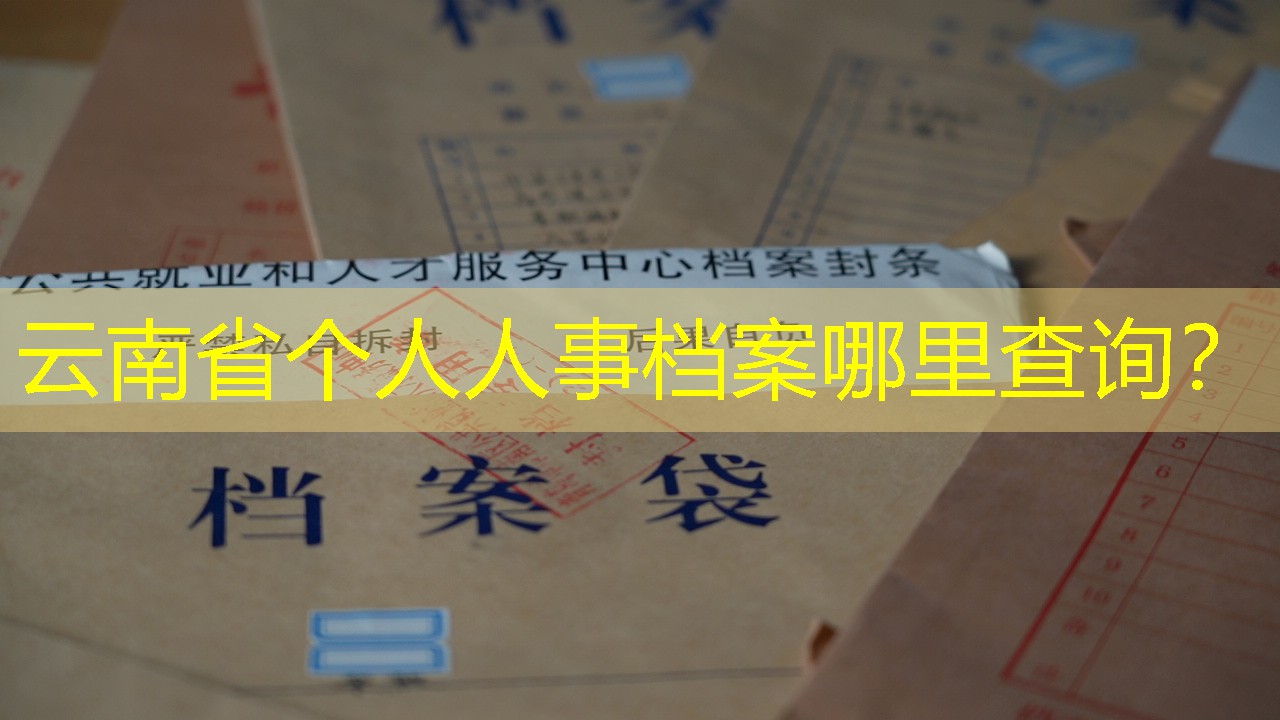 档案查询
