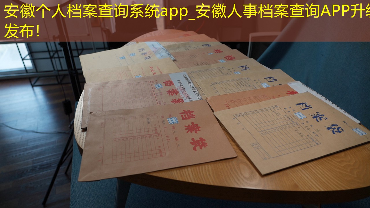 档案查询