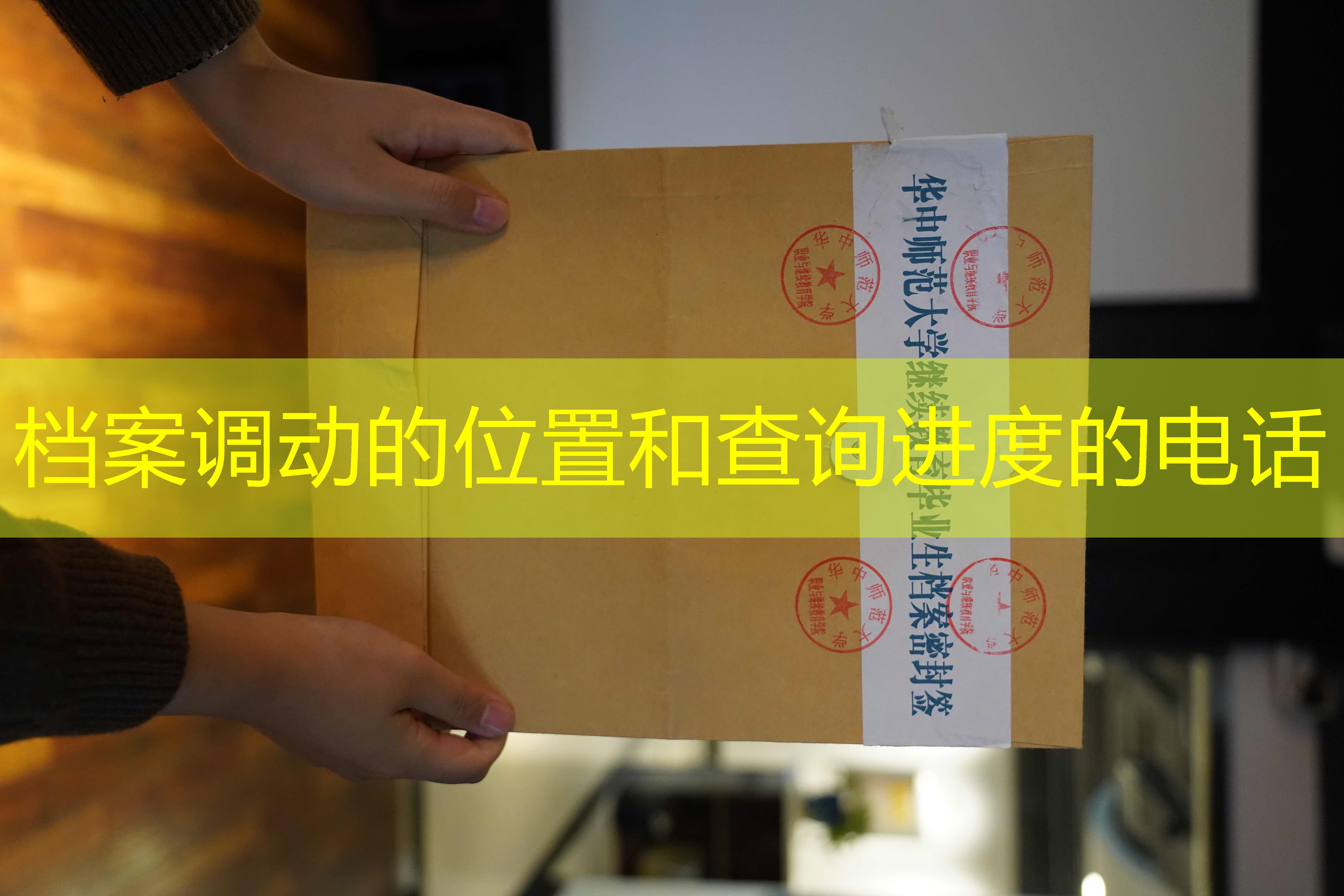 档案查询