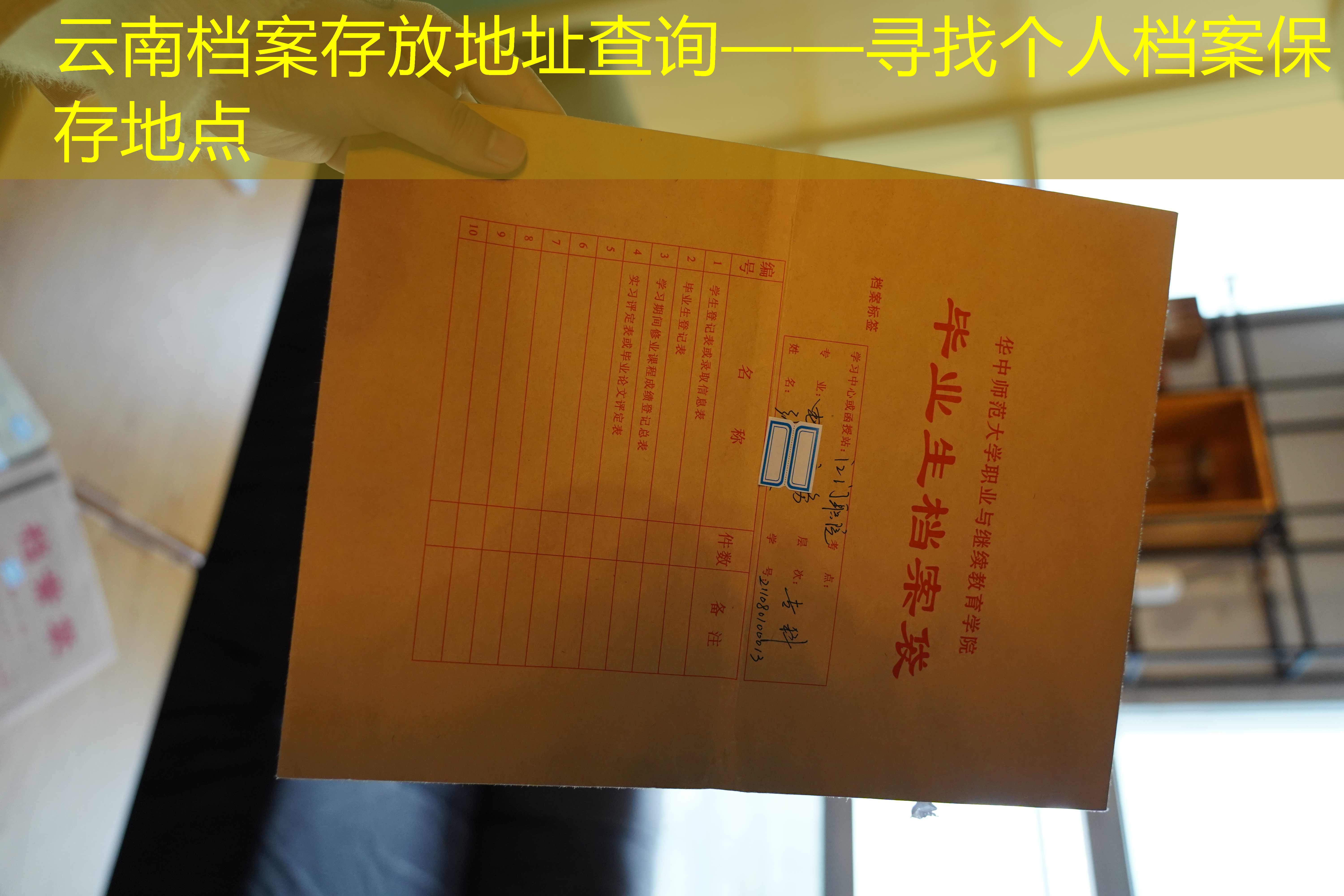 档案查询