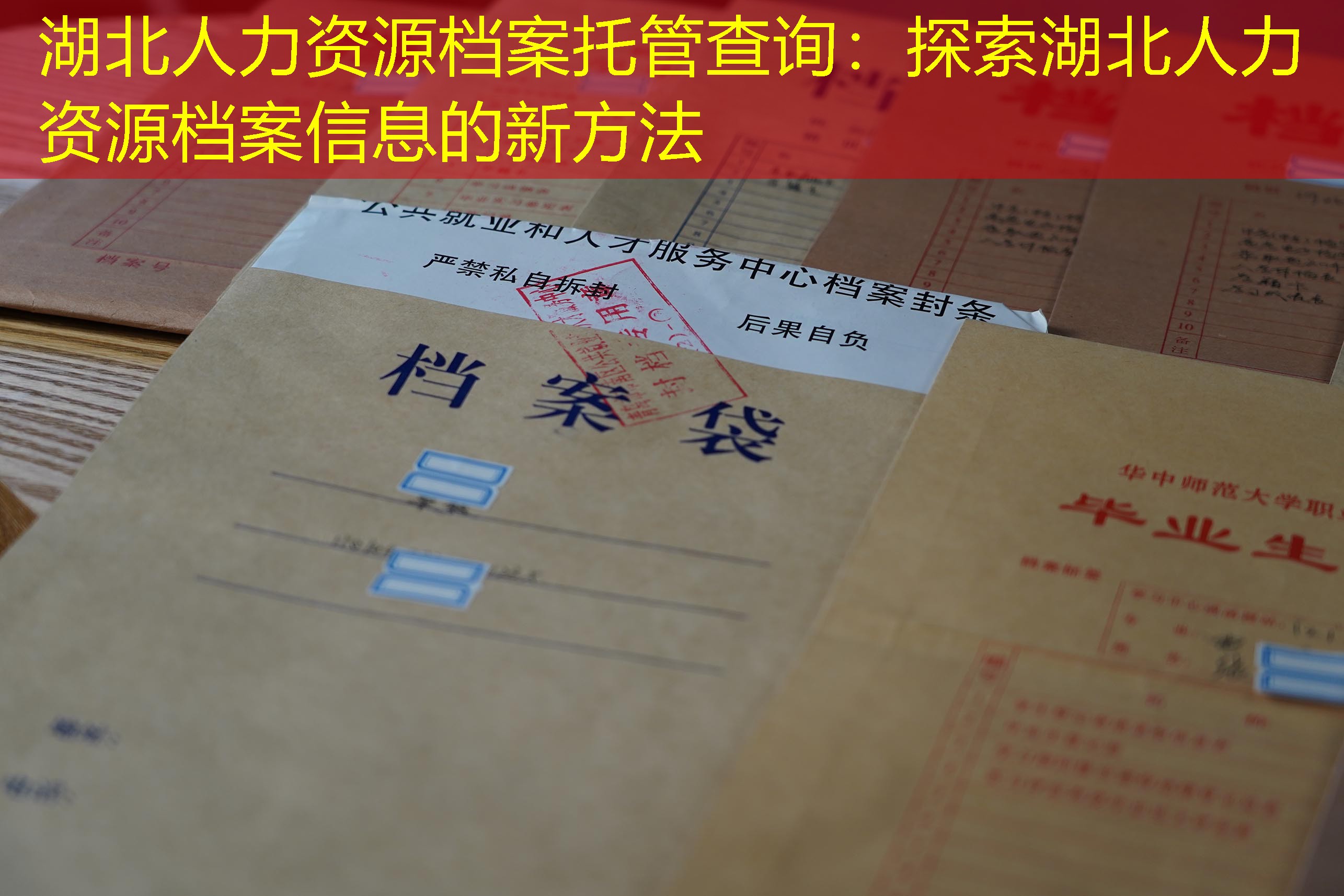 档案查询
